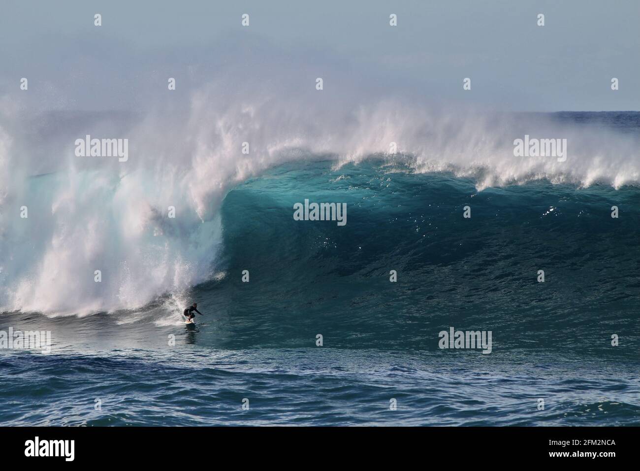 SYDNE, AUSTRALIA - 25 maggio 2016: Surfista australiano che discende un'onda gigante alla spiaggia di Coogee tra le spiagge di Bondi e Maroubra a sud di Sydney A. Foto Stock