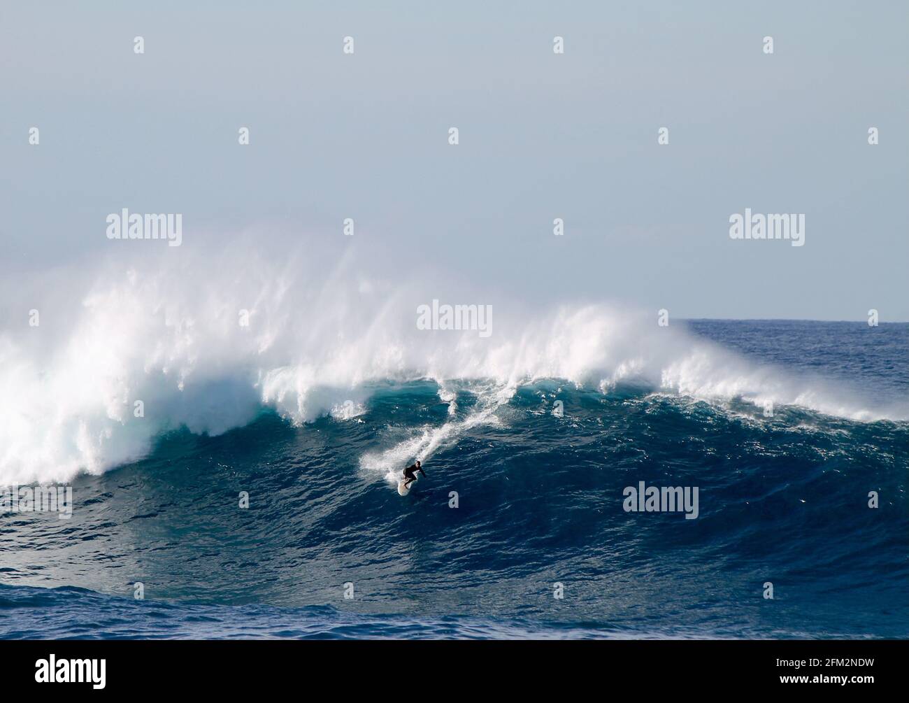 SYDNE, AUSTRALIA - 25 maggio 2016: Surfista australiano che discende un'onda gigante alla spiaggia di Coogee tra le spiagge di Bondi e Maroubra a sud di Sydney A. Foto Stock