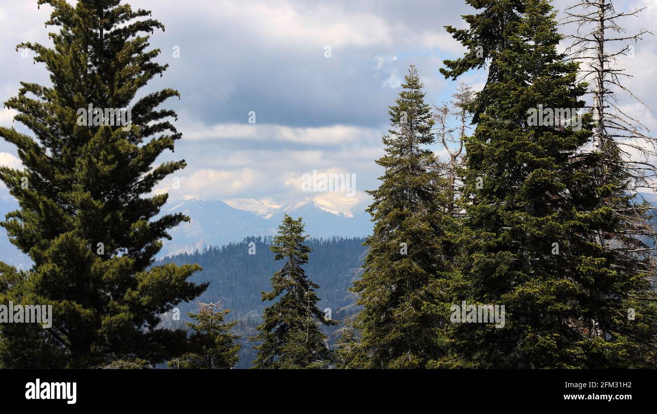 Vista delle montagne della Sierra Nevada meridionale della California dalla Generals Hwy Lungo la strada per il Parco Nazionale delle sequoie Foto Stock