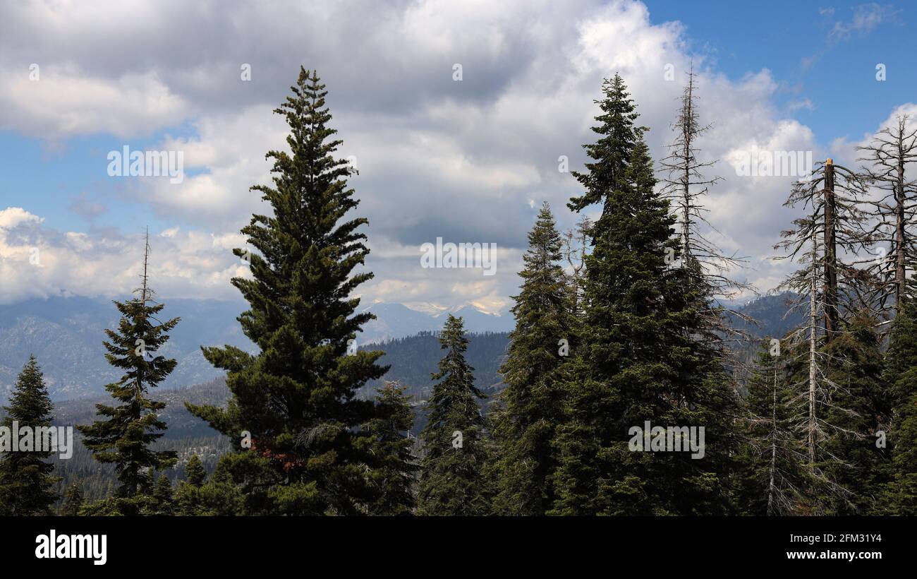 Vista delle montagne della Sierra Nevada meridionale della California dalla Generals Hwy Lungo la strada per il Parco Nazionale delle sequoie Foto Stock