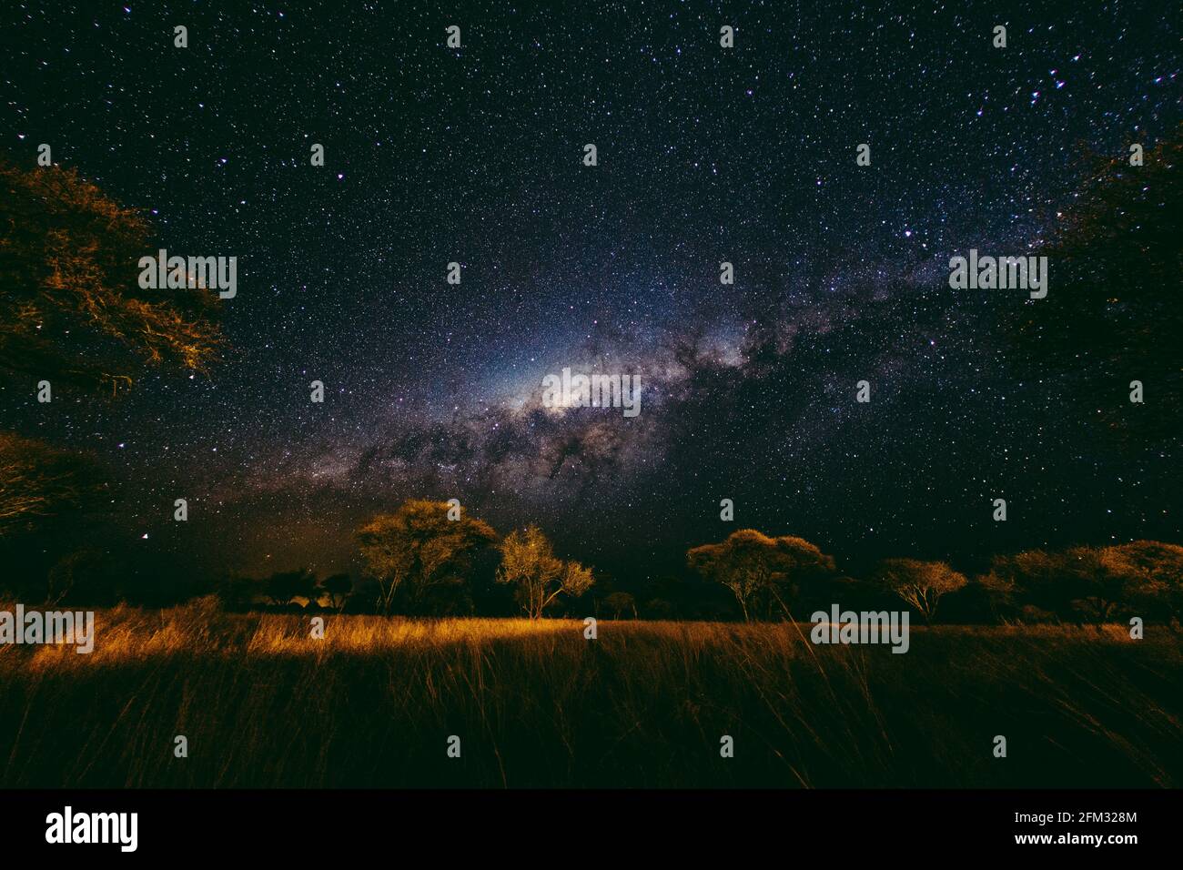 Via Lattea cielo notturno sulle pianure africane, Namibia Foto Stock