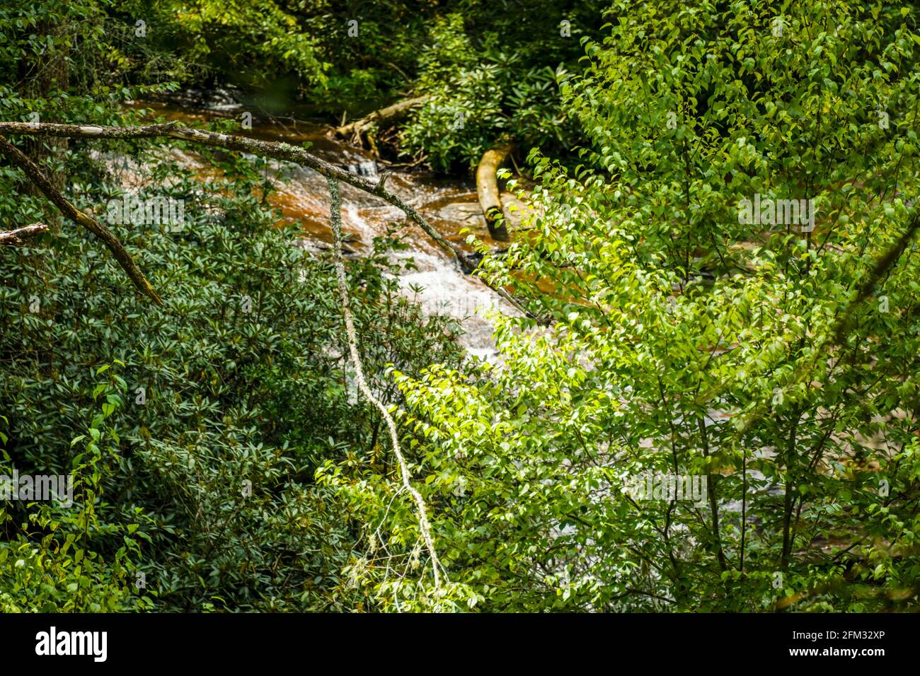 Georgia on My Mind - Helton Creek Foto Stock