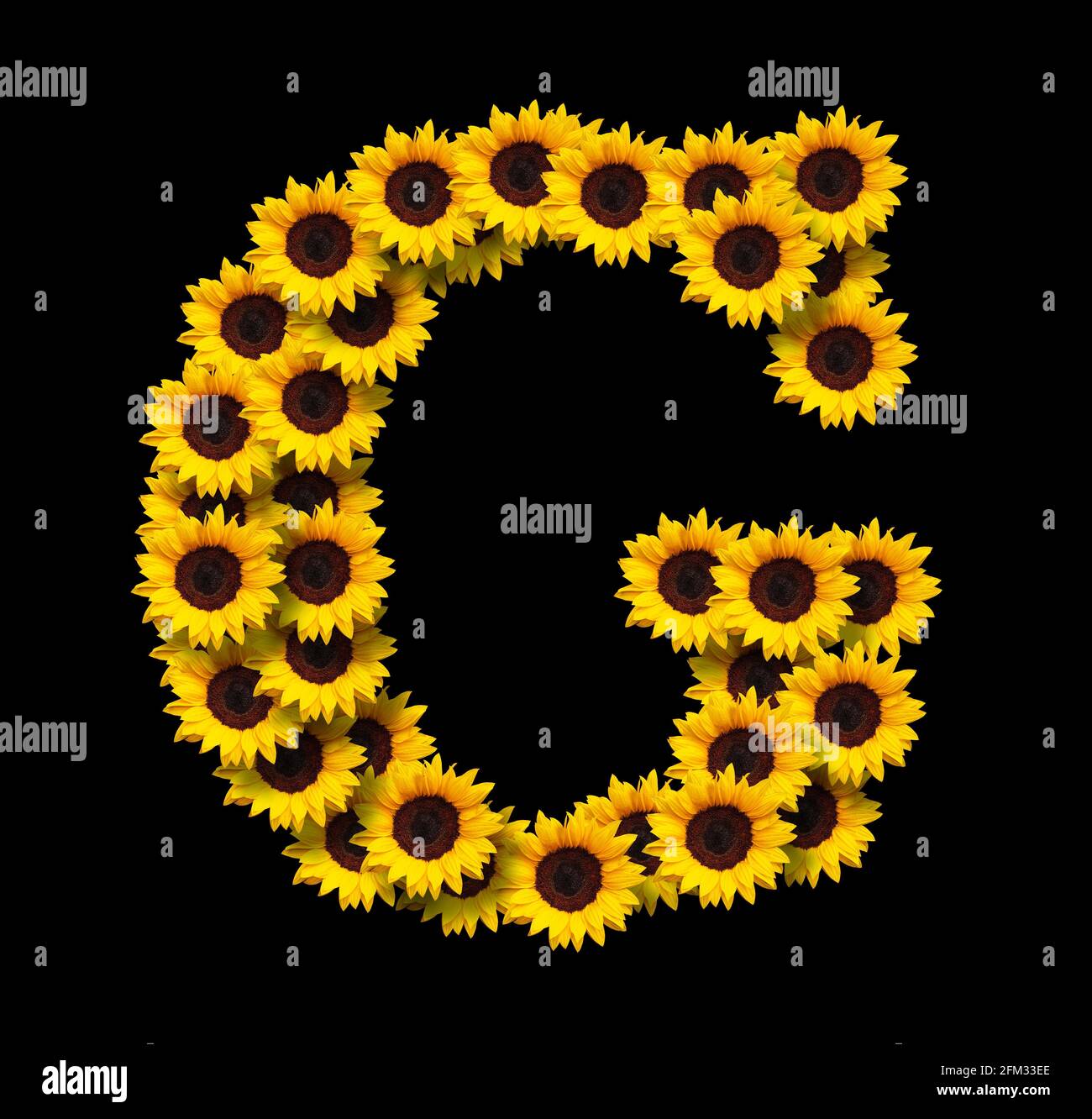 Letter g flowers immagini e fotografie stock ad alta risoluzione - Alamy