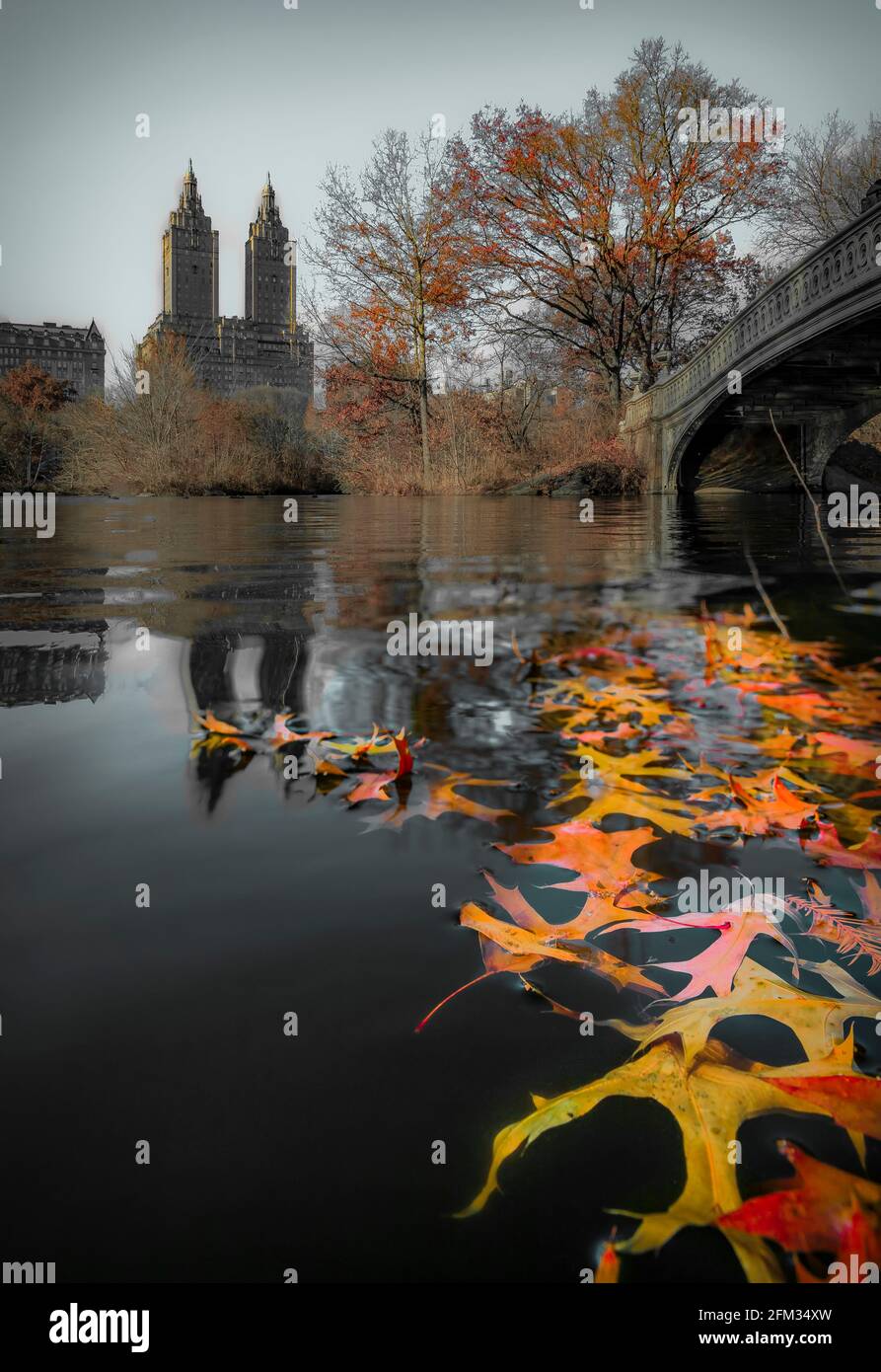 Archetto romantico Ponte sopra il lago di Central Park di New York in autunno con edifici di Manhattan in background e caduta foglie in primo piano Foto Stock