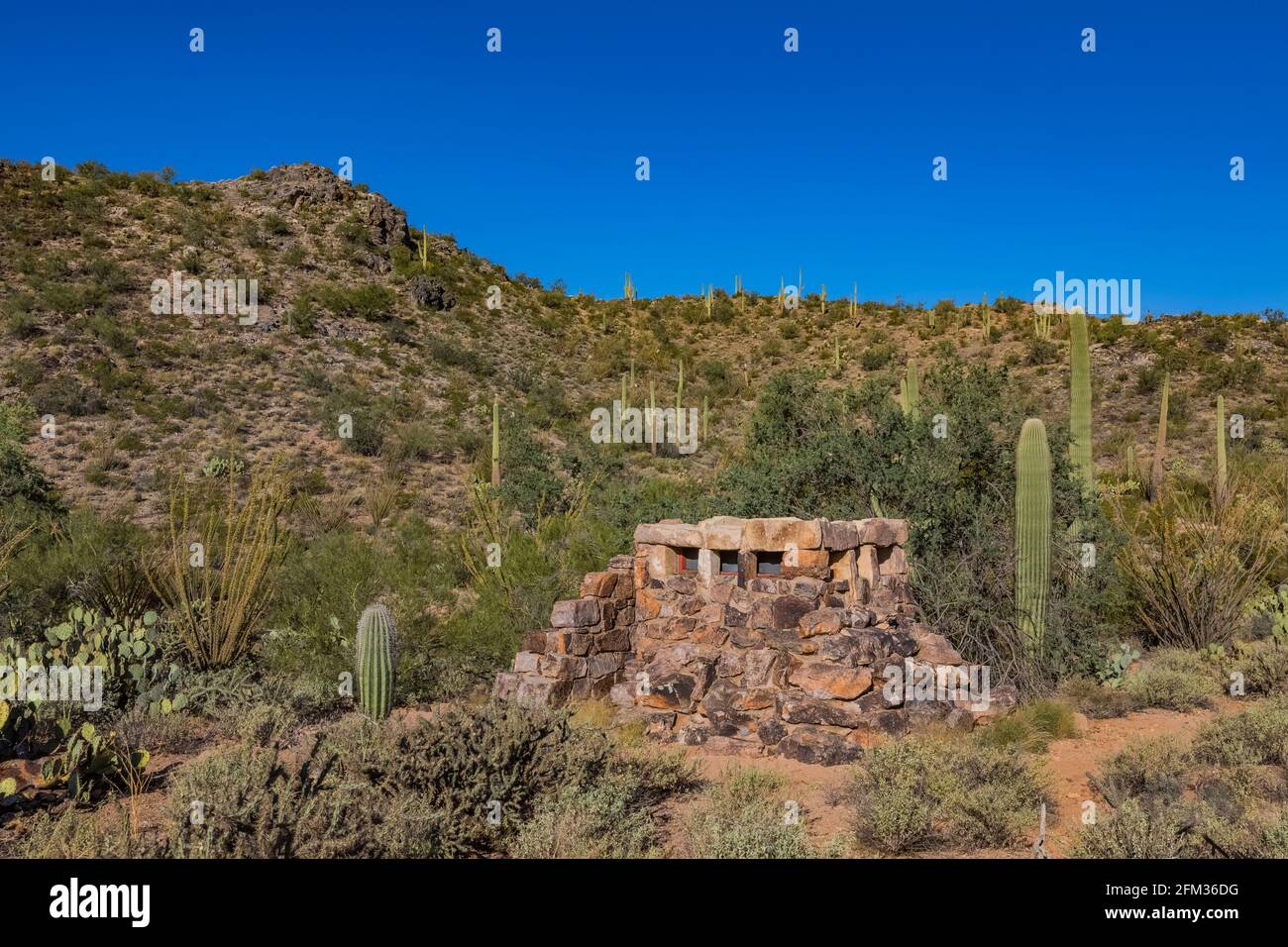 Vecchio bagno in pietra nella Sus picnic Area costruita dal corpo di conservazione civile durante la Grande depressione, Saguaro National Park, Tucson Mountain Foto Stock