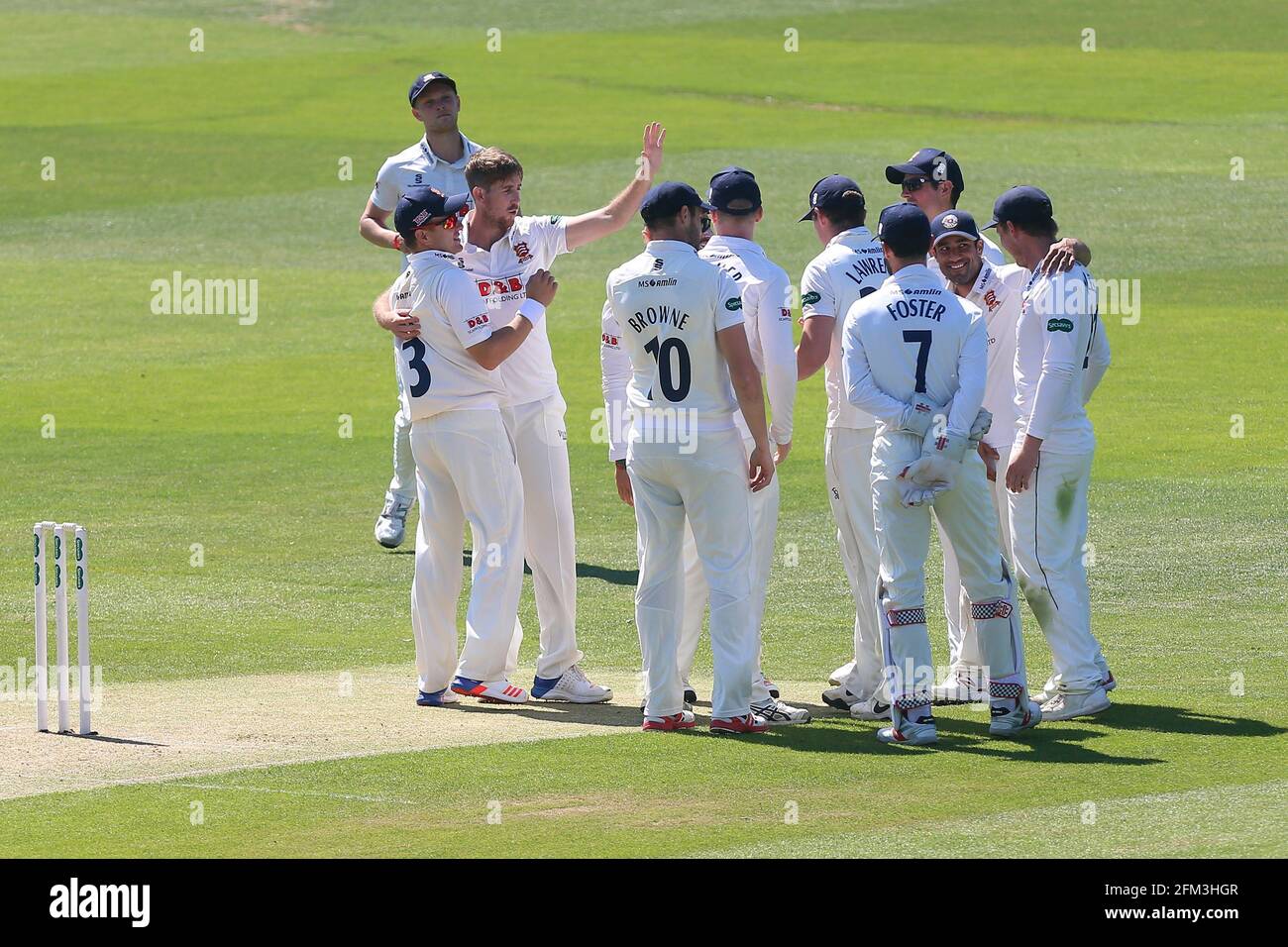 Matt Quinn di Essex si congratula con i suoi compagni di squadra dopo aver preso il wicket di Rory Burns durante Essex CCC vs Surrey CCC, Specsavers County Champio Foto Stock