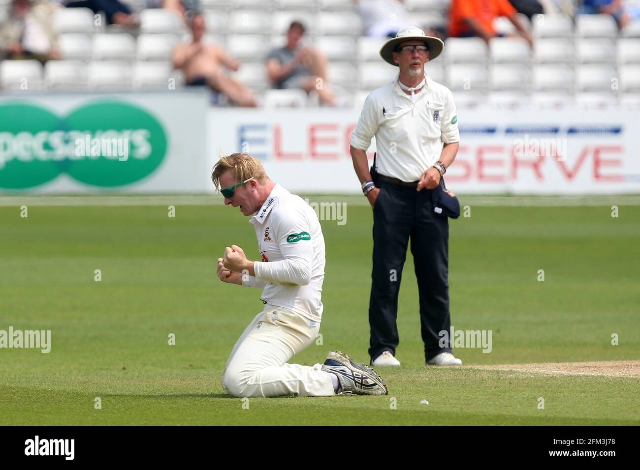 Simon Harmer of Essex celebra la presa del wicket di Rory Burns durante Essex CCC vs Surrey CCC, Specsavers County Championship Division 1 Cricket a. Foto Stock