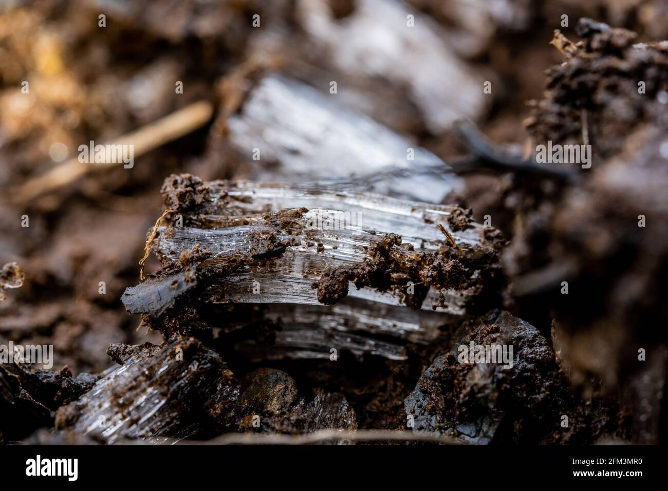 Strati di fango e ghiaccio dell'ago in Great Smoky Mountains Parco nazionale Foto Stock