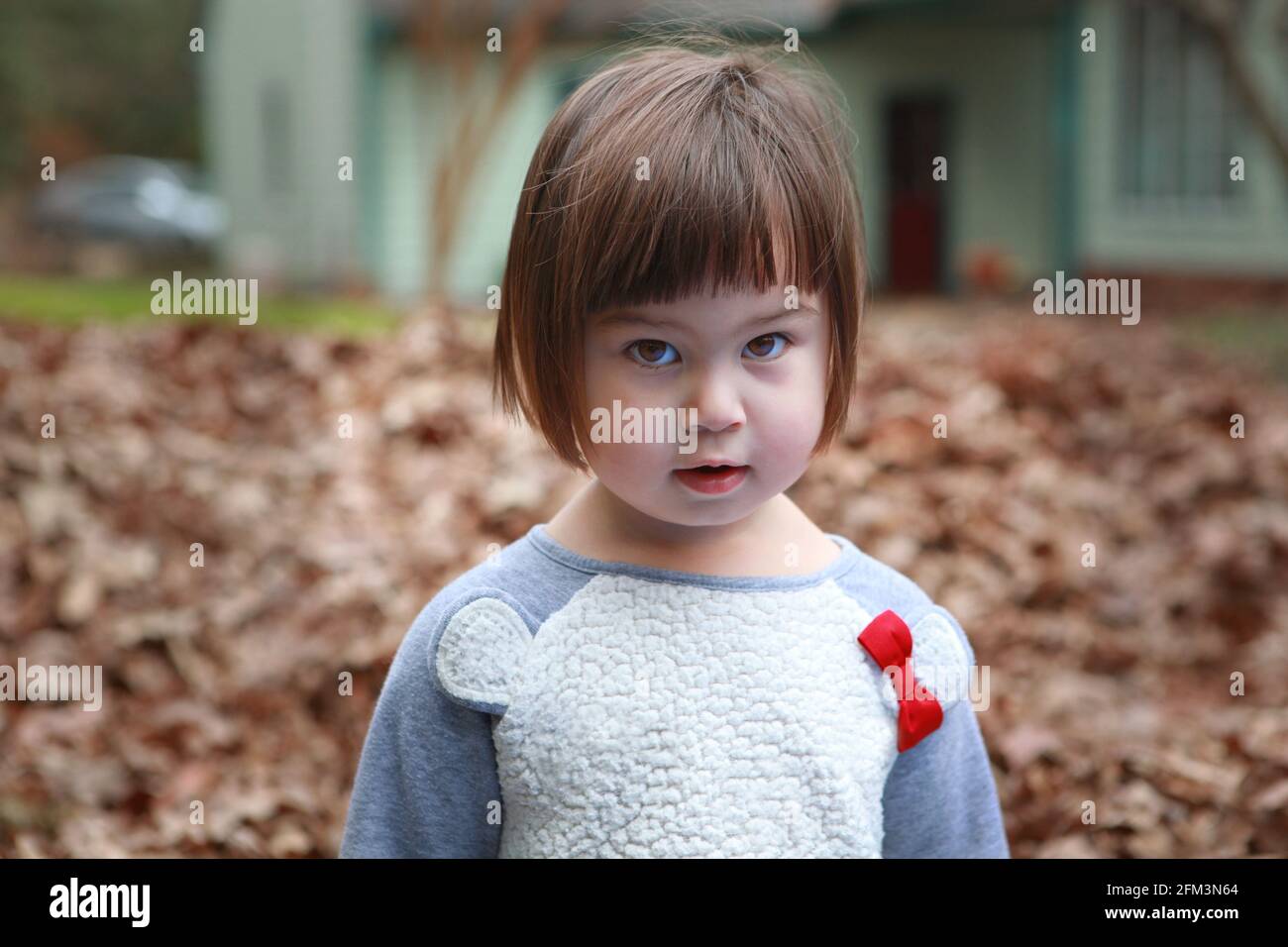 Giovane ragazza pronta a giocare in autunno foglie nel cortile posteriore della sua casa. Foto Stock