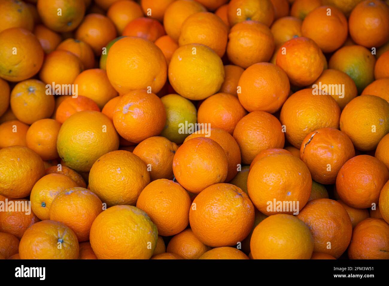 Arance sfondo. Arance fresche varietà coltivate in negozio. Arance adatto  per il succo di frutta, strudel, purea di arancia, frutta sciroppata Foto  stock - Alamy