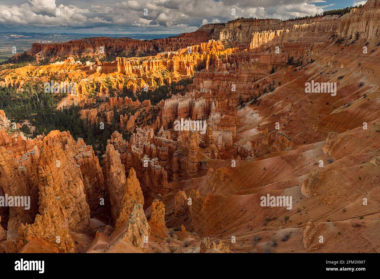 Wall Street, il Parco Nazionale di Bryce Canyon, Utah Foto Stock