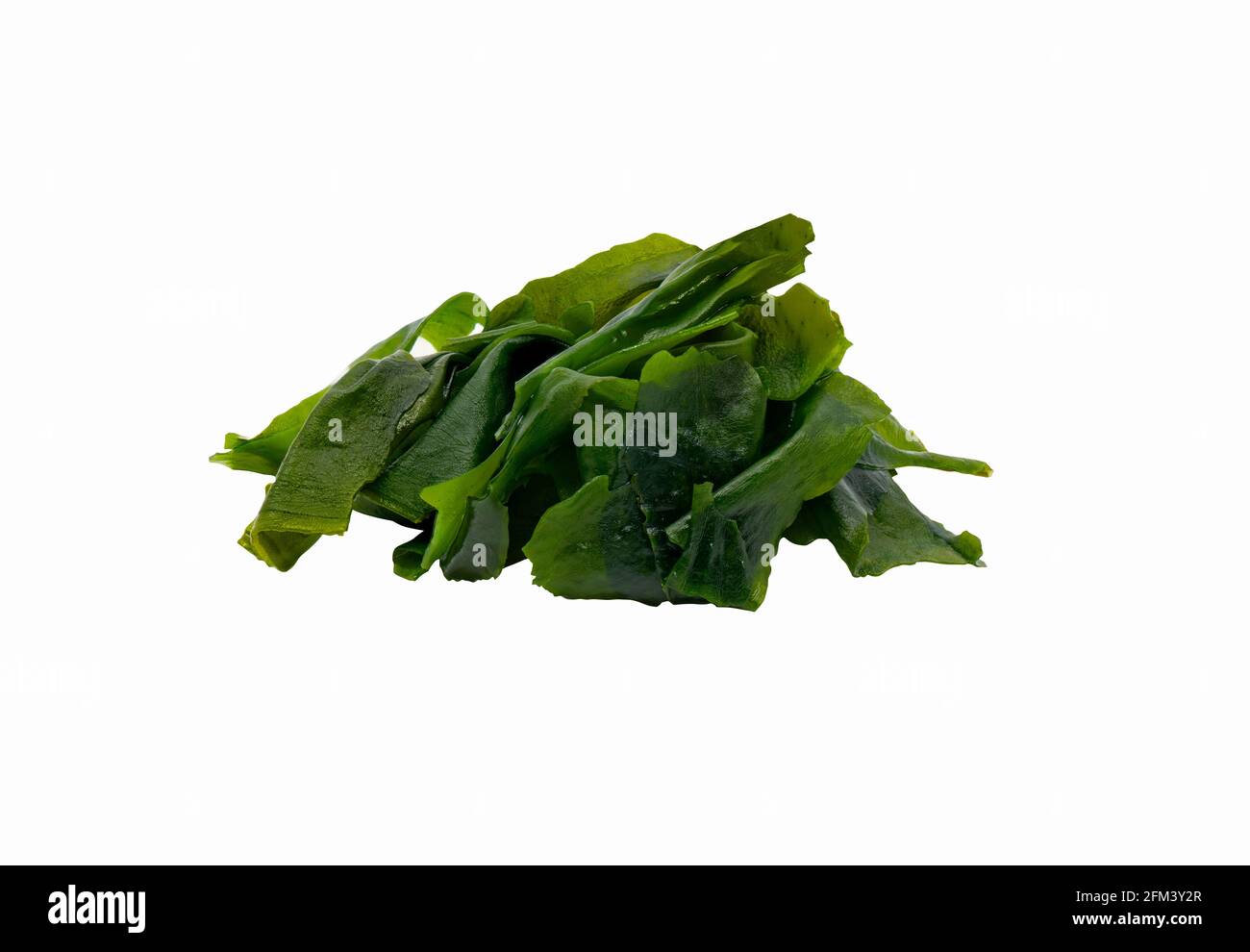 Primo piano alghe giapponesi Wakame, alghe isolate Wakame su sfondo bianco, percorso di ritaglio intorno alle alghe wakame è in file. Foto Stock