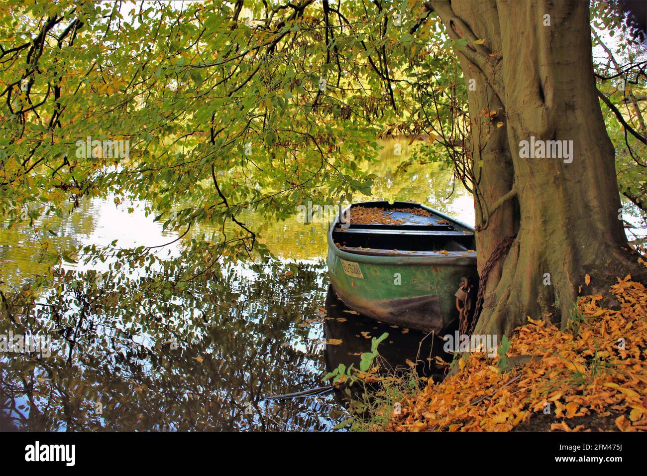 Herbst im Emsland / paesaggi autunnali Foto Stock