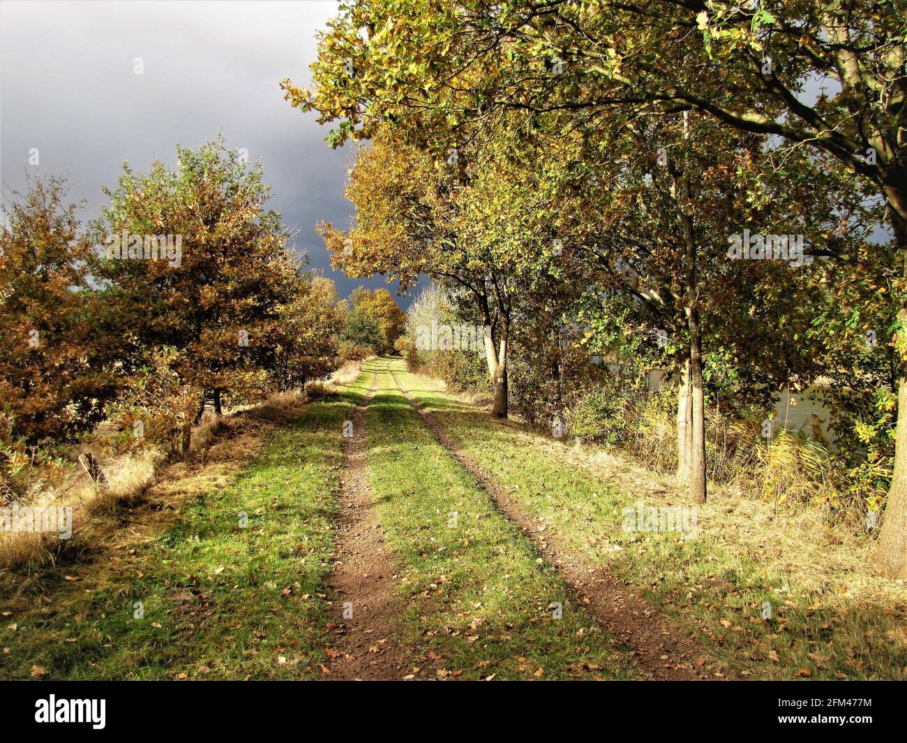 Herbst im Emsland / paesaggi autunnali Foto Stock