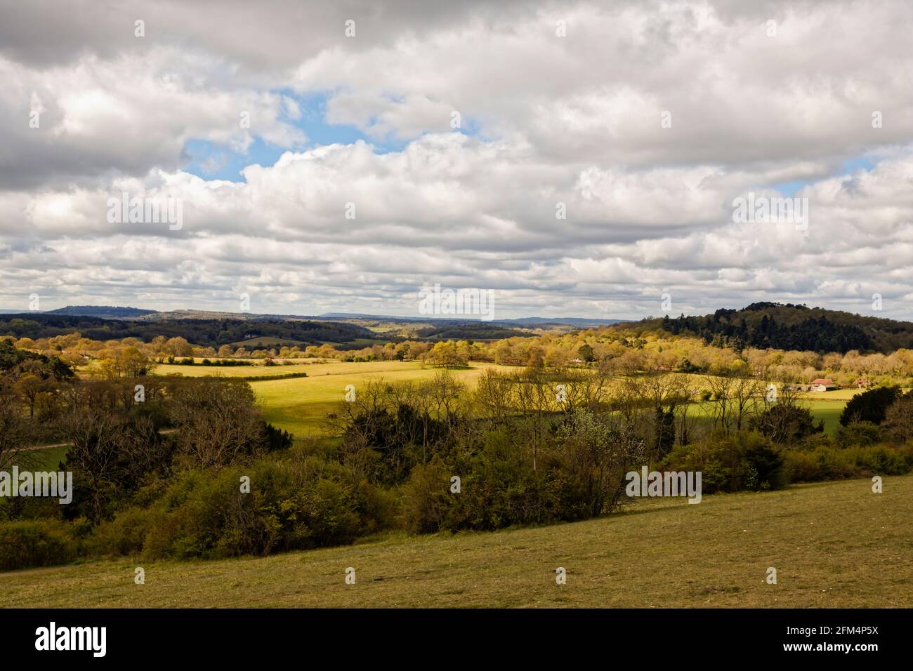 Vista panoramica su South Downs da Newlands Corner, Albury, vicino a Guildford, Surrey, Inghilterra sud-orientale con le nuvole di cumuli pesanti e scure in primavera Foto Stock