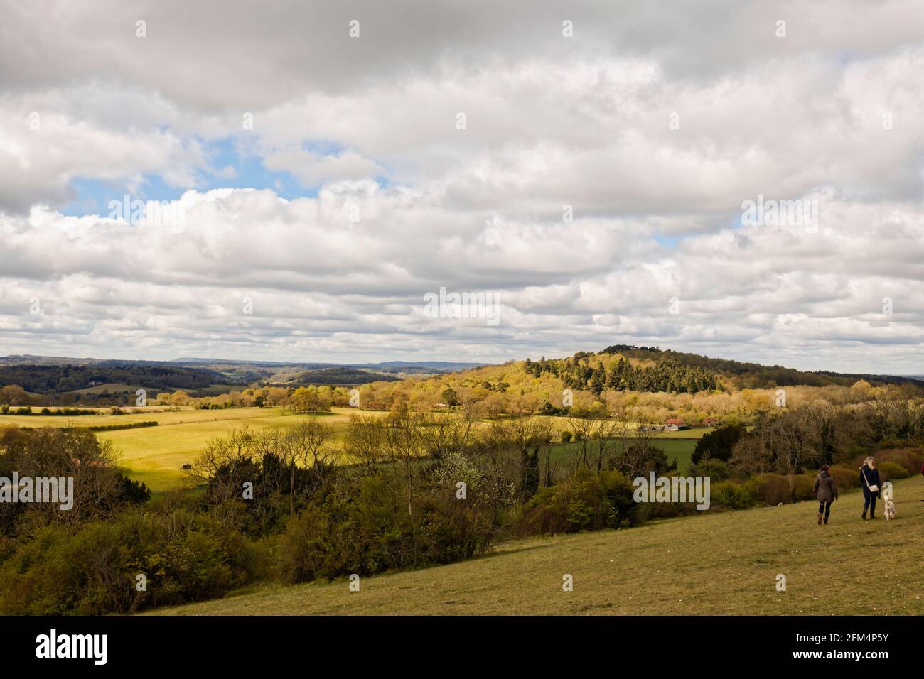 Vista panoramica su South Downs da Newlands Corner, Albury, vicino a Guildford, Surrey, Inghilterra sud-orientale con le nuvole di cumuli pesanti e scure in primavera Foto Stock