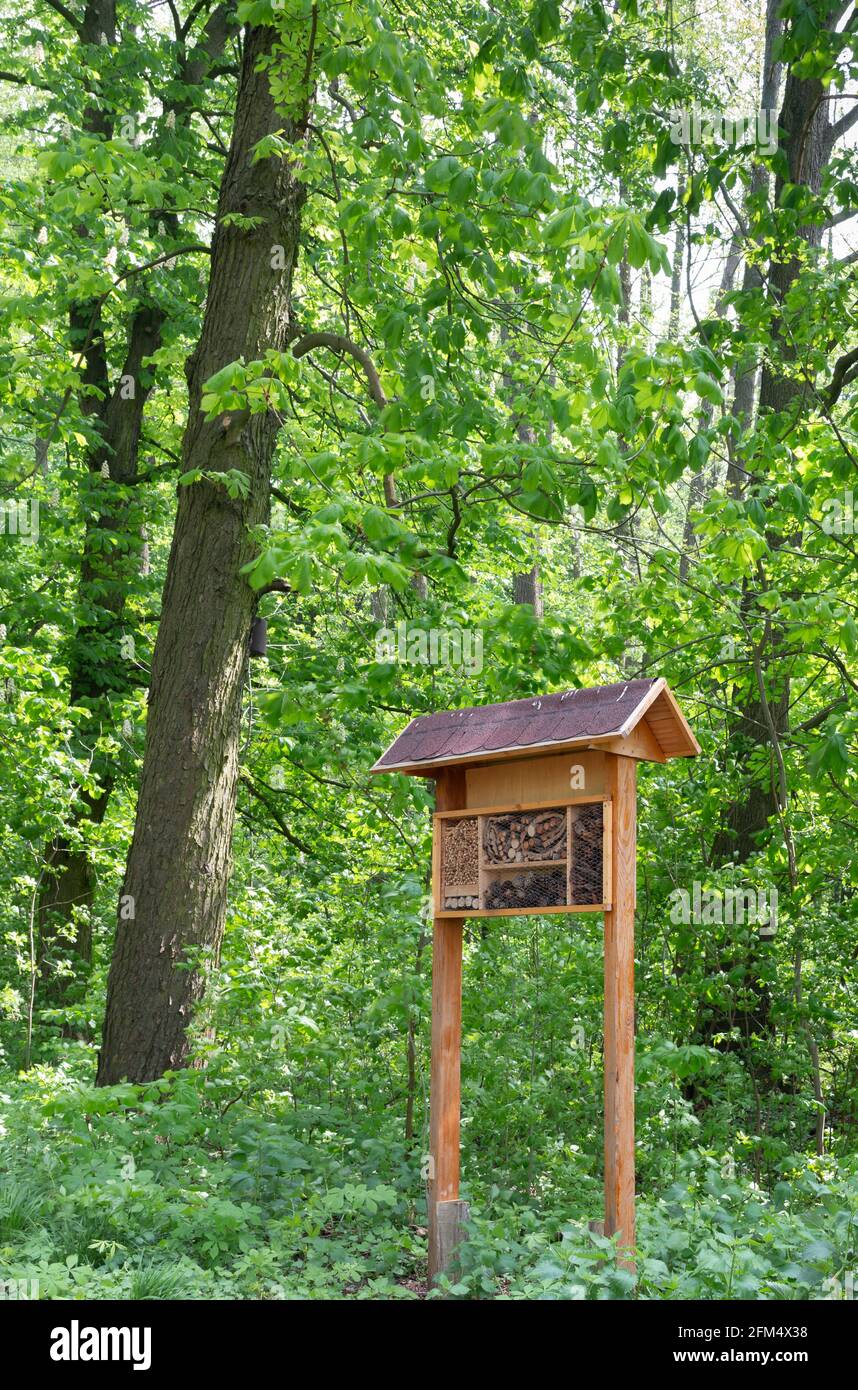 Hotel di insetti in una foresta Foto Stock