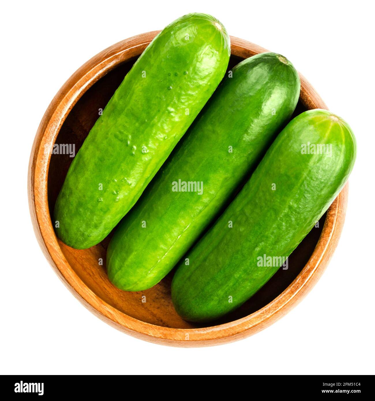 Cetrioli freschi in una ciotola di legno. Gruppo di piccoli, giovani e interi cetrioli, allineati da vicino. Cucumis sativus, una verdura. Foto Stock