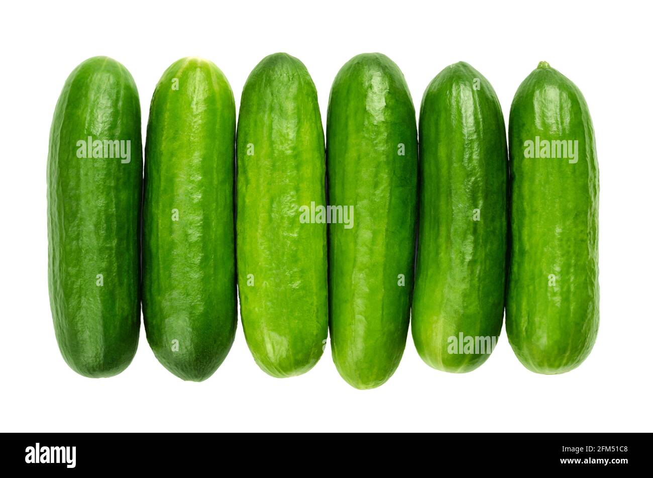 Snack cetrioli in fila, dall'alto. Frutta fresca, piccola, giovane e intera di cetrioli, allineati da vicino. Cucumis sativus, una verdura. Foto Stock