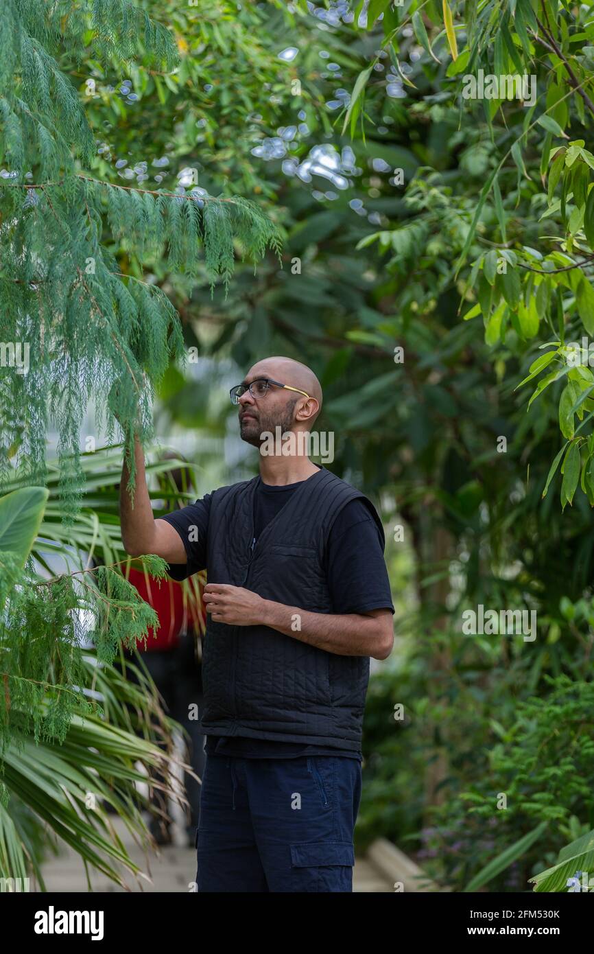 Kew Gardens, Richmond, Regno Unito. 6 maggio 2021. Estate a Kew: Mondo segreto delle piante. Jason Singh, musicista botanico e beatboxer, ha utilizzato la tecnologia dei biodati per registrare i segnali elettrici delle piante, trasformandole in splendide canzoni di sopravvivenza nell'iconica Tempperate House. Credit: amanda Rose/Alamy Live News Foto Stock