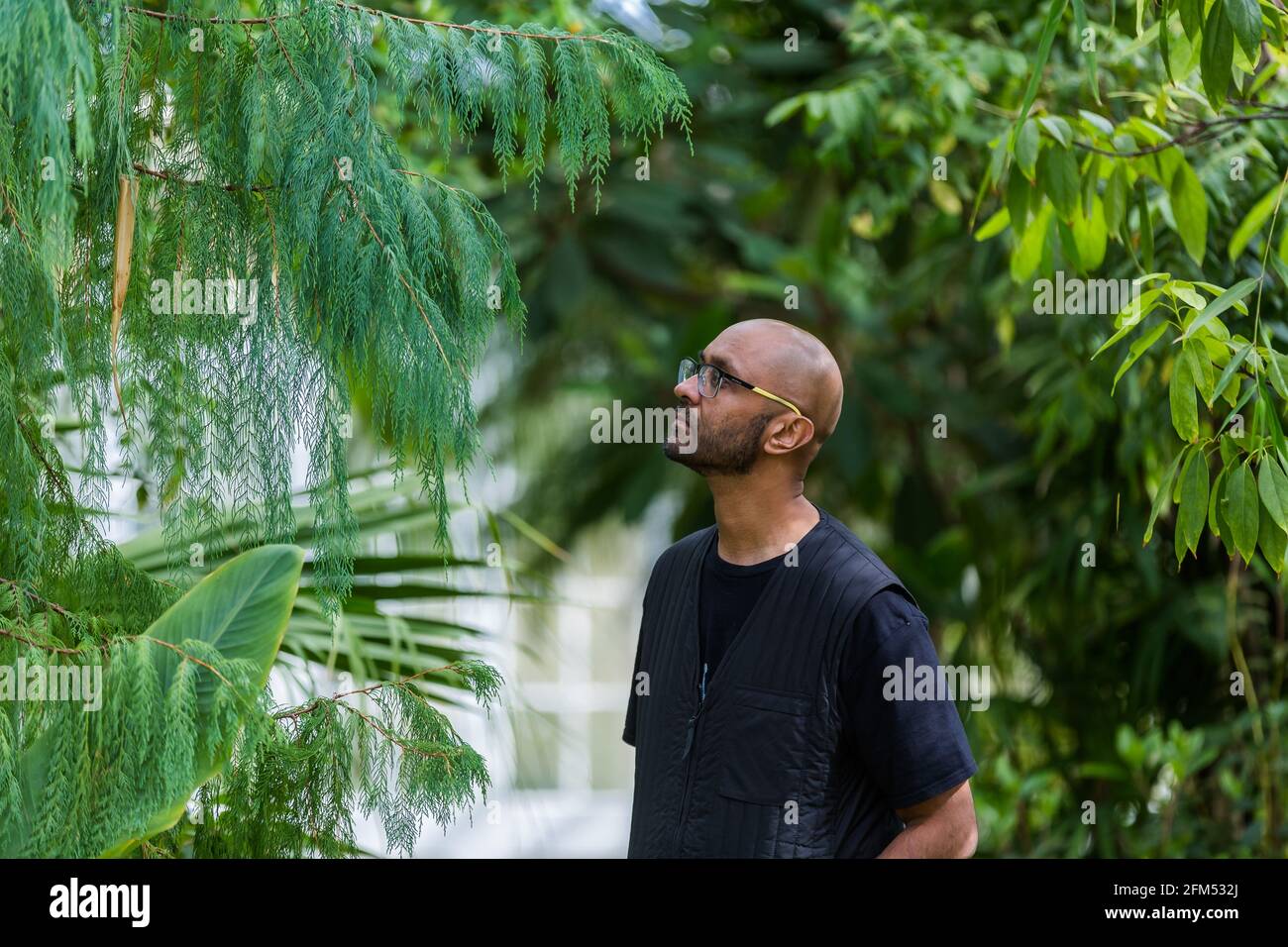 Kew Gardens, Richmond, Regno Unito. 6 maggio 2021. Estate a Kew: Mondo segreto delle piante. Jason Singh, musicista botanico e beatboxer, ha utilizzato la tecnologia dei biodati per registrare i segnali elettrici delle piante, trasformandole in splendide canzoni di sopravvivenza nell'iconica Tempperate House. Credit: amanda Rose/Alamy Live News Foto Stock