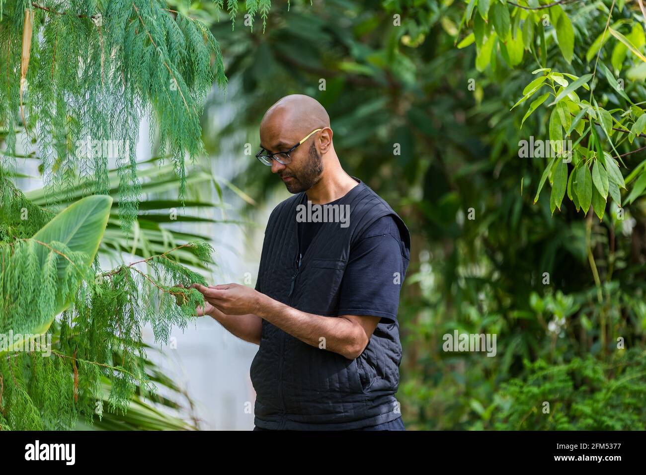 Kew Gardens, Richmond, Regno Unito. 6 maggio 2021. Estate a Kew: Mondo segreto delle piante. Jason Singh, musicista botanico e beatboxer, ha utilizzato la tecnologia dei biodati per registrare i segnali elettrici delle piante, trasformandole in splendide canzoni di sopravvivenza nell'iconica Tempperate House. Credit: amanda Rose/Alamy Live News Foto Stock