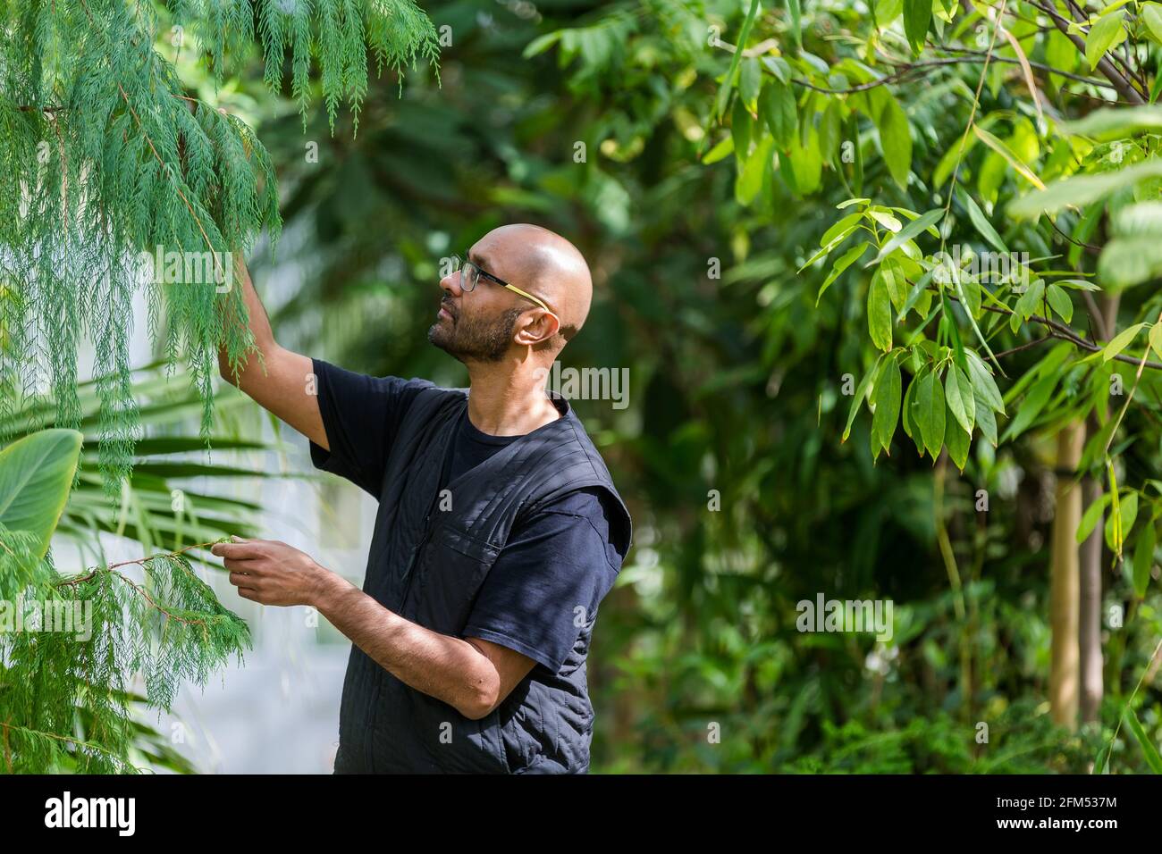 Kew Gardens, Richmond, Regno Unito. 6 maggio 2021. Estate a Kew: Mondo segreto delle piante. Jason Singh, musicista botanico e beatboxer, ha utilizzato la tecnologia dei biodati per registrare i segnali elettrici delle piante, trasformandole in splendide canzoni di sopravvivenza nell'iconica Tempperate House. Credit: amanda Rose/Alamy Live News Foto Stock