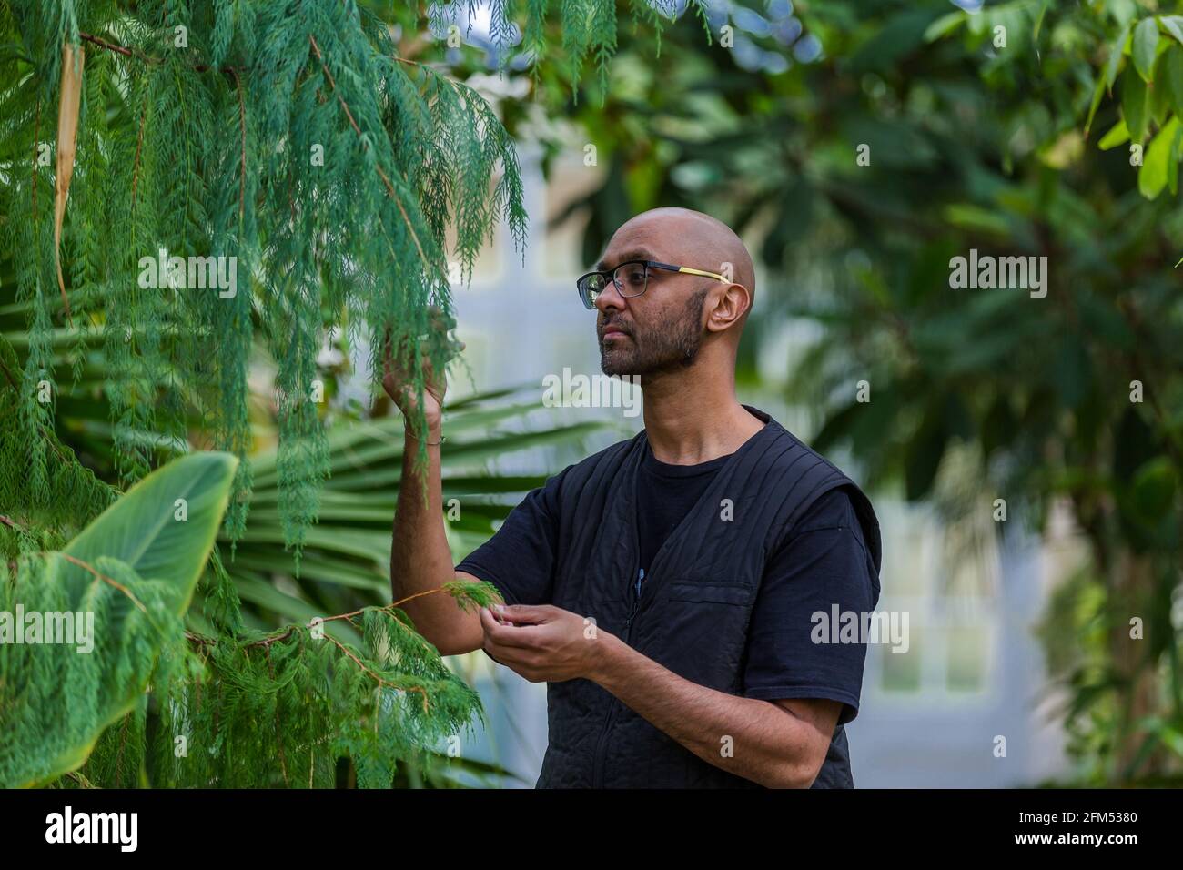 Kew Gardens, Richmond, Regno Unito. 6 maggio 2021. Estate a Kew: Mondo segreto delle piante. Jason Singh, musicista botanico e beatboxer, ha utilizzato la tecnologia dei biodati per registrare i segnali elettrici delle piante, trasformandole in splendide canzoni di sopravvivenza nell'iconica Tempperate House. Credit: amanda Rose/Alamy Live News Foto Stock