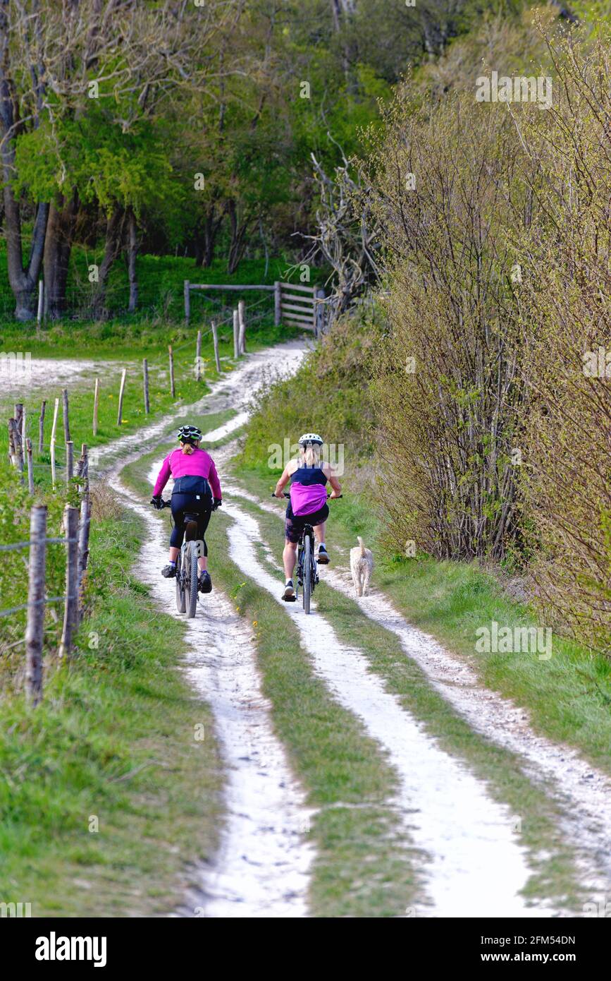 Due ciclisti femminili in lycra che lottano su una pista di gesso sulle North Downs nelle colline di Surrey in un giorno di primavera, vicino a Dorking Inghilterra UK Foto Stock