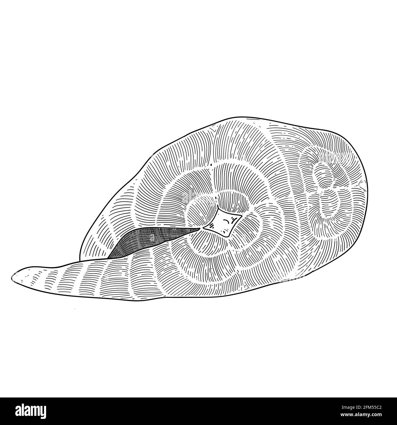 Salmone crudo, illustrazione dell'inchiostro, bistecca di salmone isolata su sfondo bianco, stile di incisione, fetta di carne di pesce, disegno bianco e nero Illustrazione Vettoriale