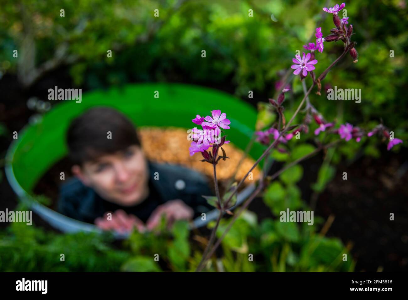 Londra, Regno Unito. 6 maggio 2021. Il pezzo centrale è sei ‘plantscapes' - che rappresentano paesaggi contrastanti trovati in tutto il Regno Unito. Ogni paesaggio - duna di sabbia; brughiera; palude e prato; siepio (nella foto); bosco; E URBAN - si ispira agli habitat prioritari del Regno Unito nel piano d'azione sulla biodiversità. Progettati dall'artista di Seattle Vaughn Bell, sono stati creati insieme al team di esperti del settore orticolo di Kew. Credit: Guy Bell/Alamy Live News Foto Stock