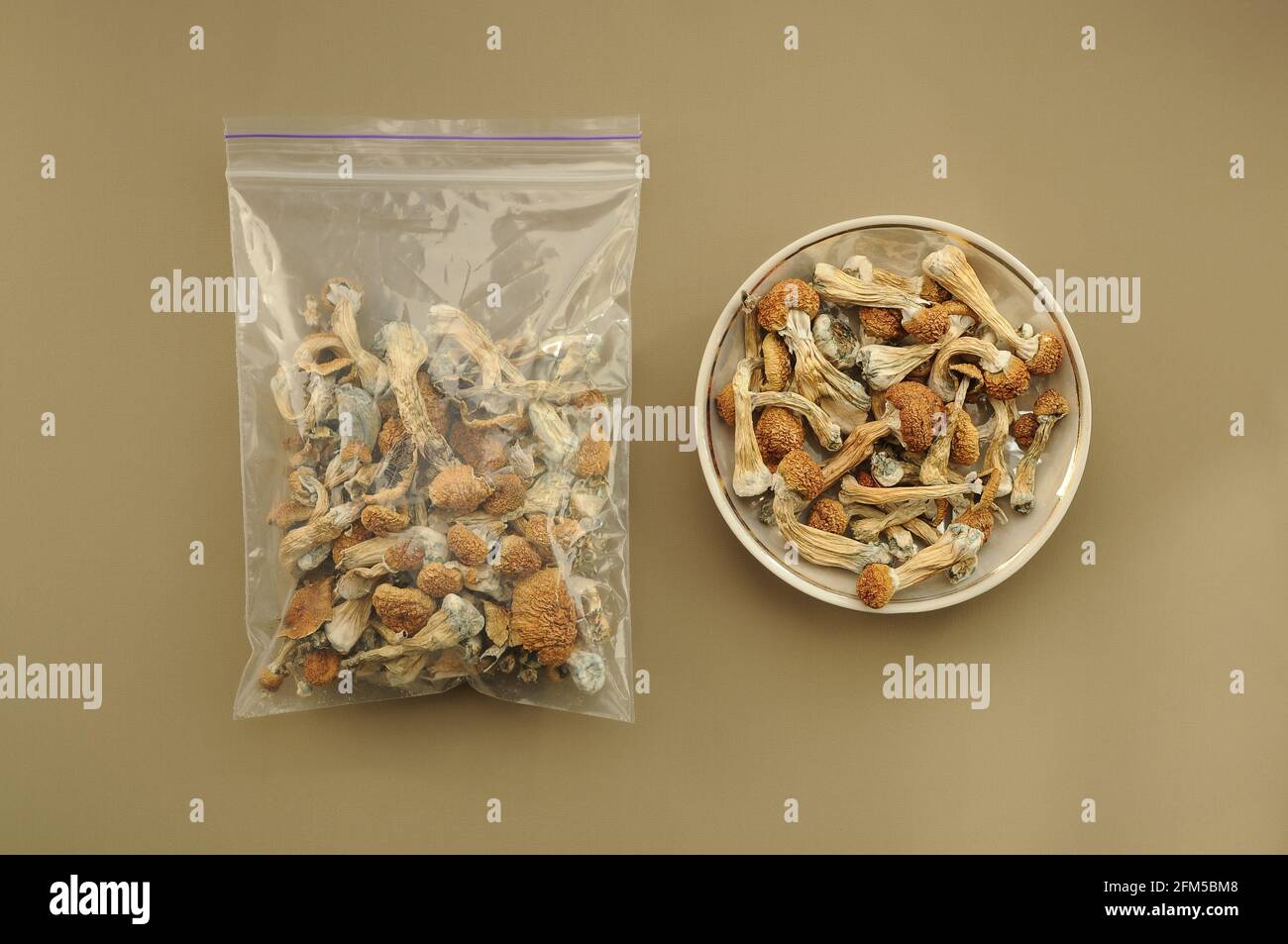 Funghi Psilocibin Psilocibe Cubensis in sacchetto di plastica su fondo marrone morbido. Maestro d'oro dei funghi magici psichedelici. Vista dall'alto, disposizione piatta. MICR Foto Stock