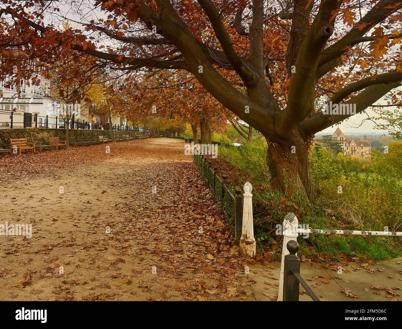 Vista dolce e autunnale lungo una lettiera di foglie disseminata Richmond Street, con alberi maturi in oro e foglie rosse che corrono lungo una recinzione in ferro. Foto Stock