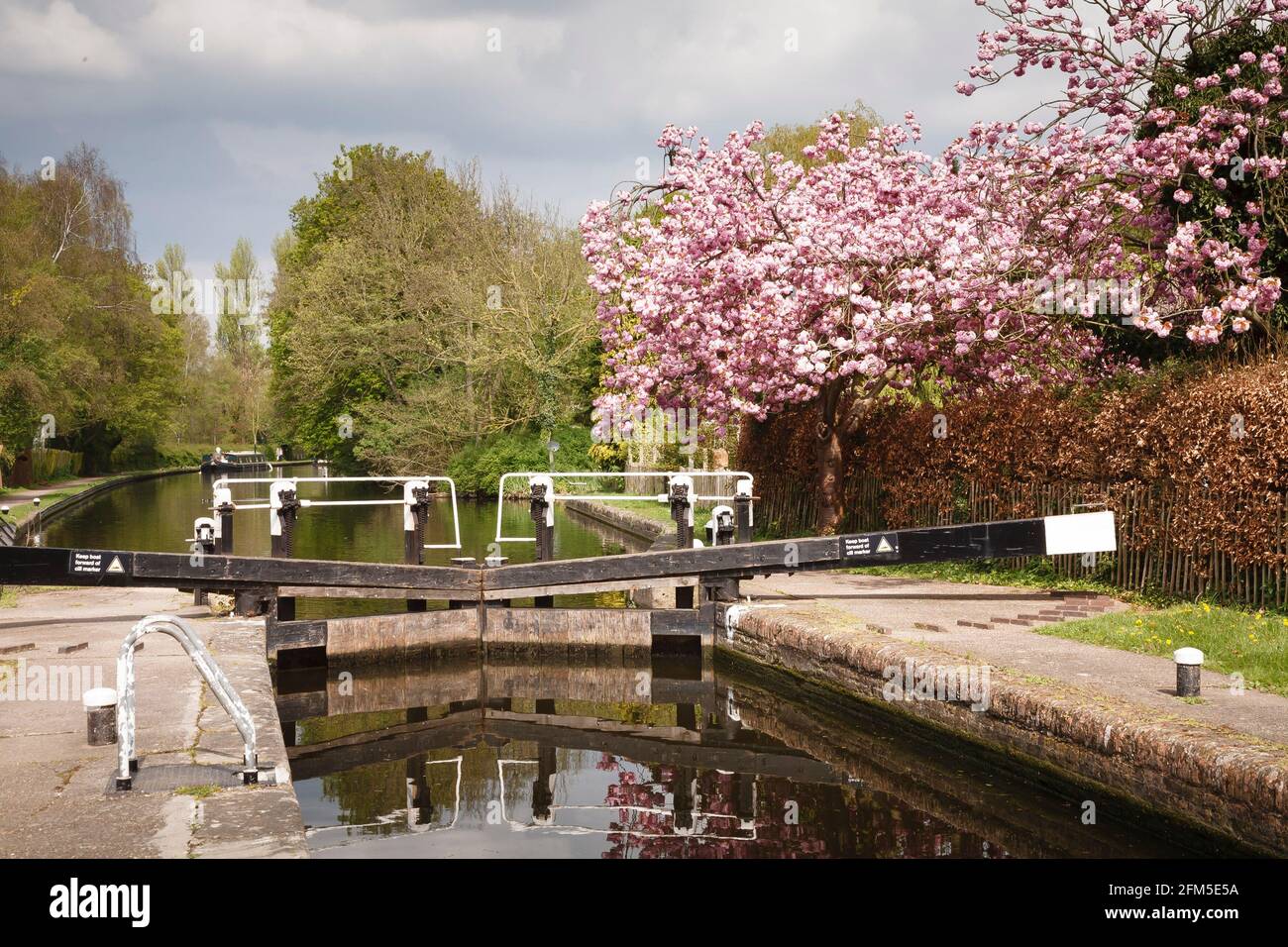 Serratura di canale con barca stretta sul Canal Grand Union nella verde campagna della cintura di Londra. Uxbridge, Londra, Regno Unito Foto Stock