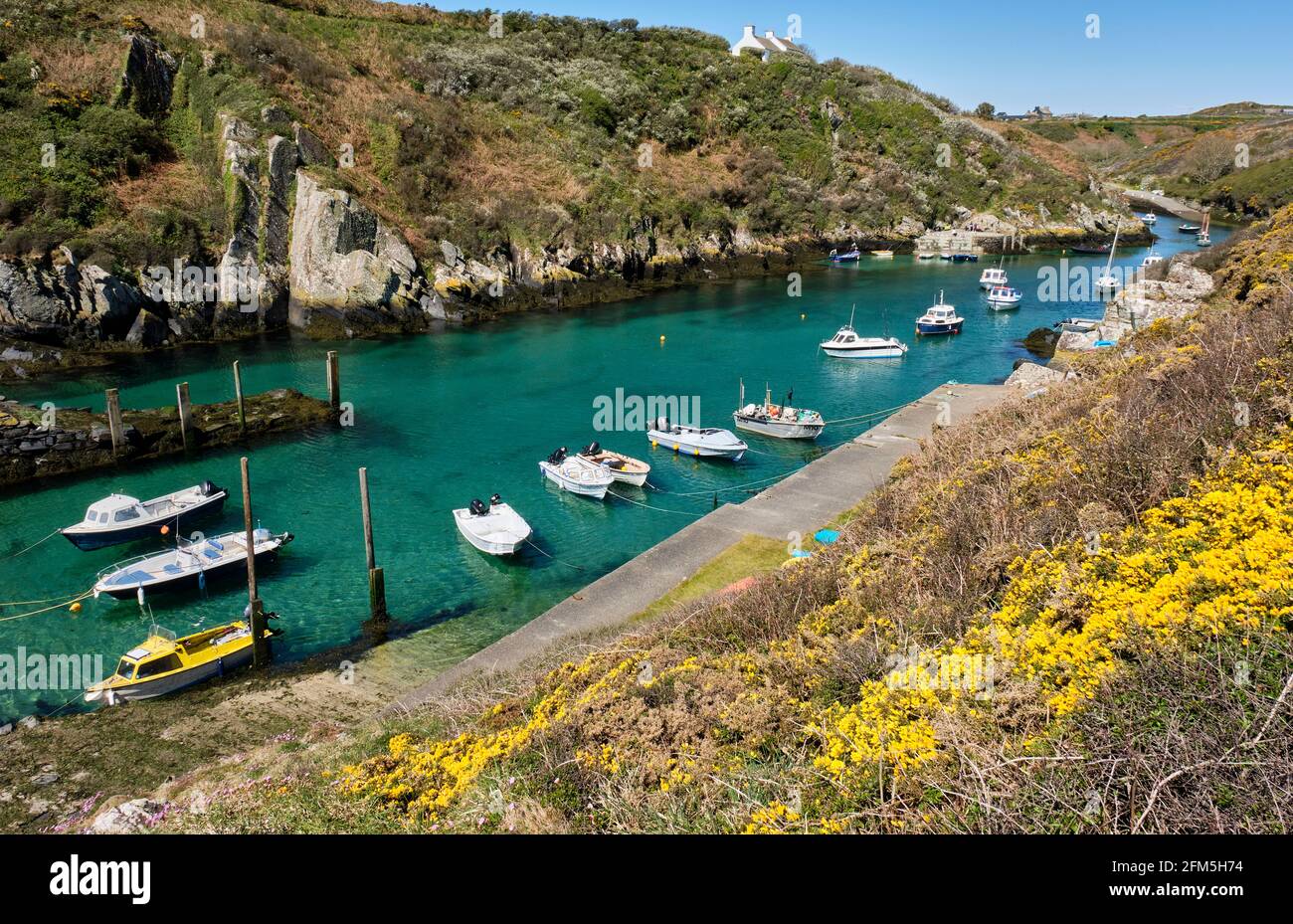 Porto di Porth Clais, vicino a St David's, Pembrokeshire, Galles Foto Stock