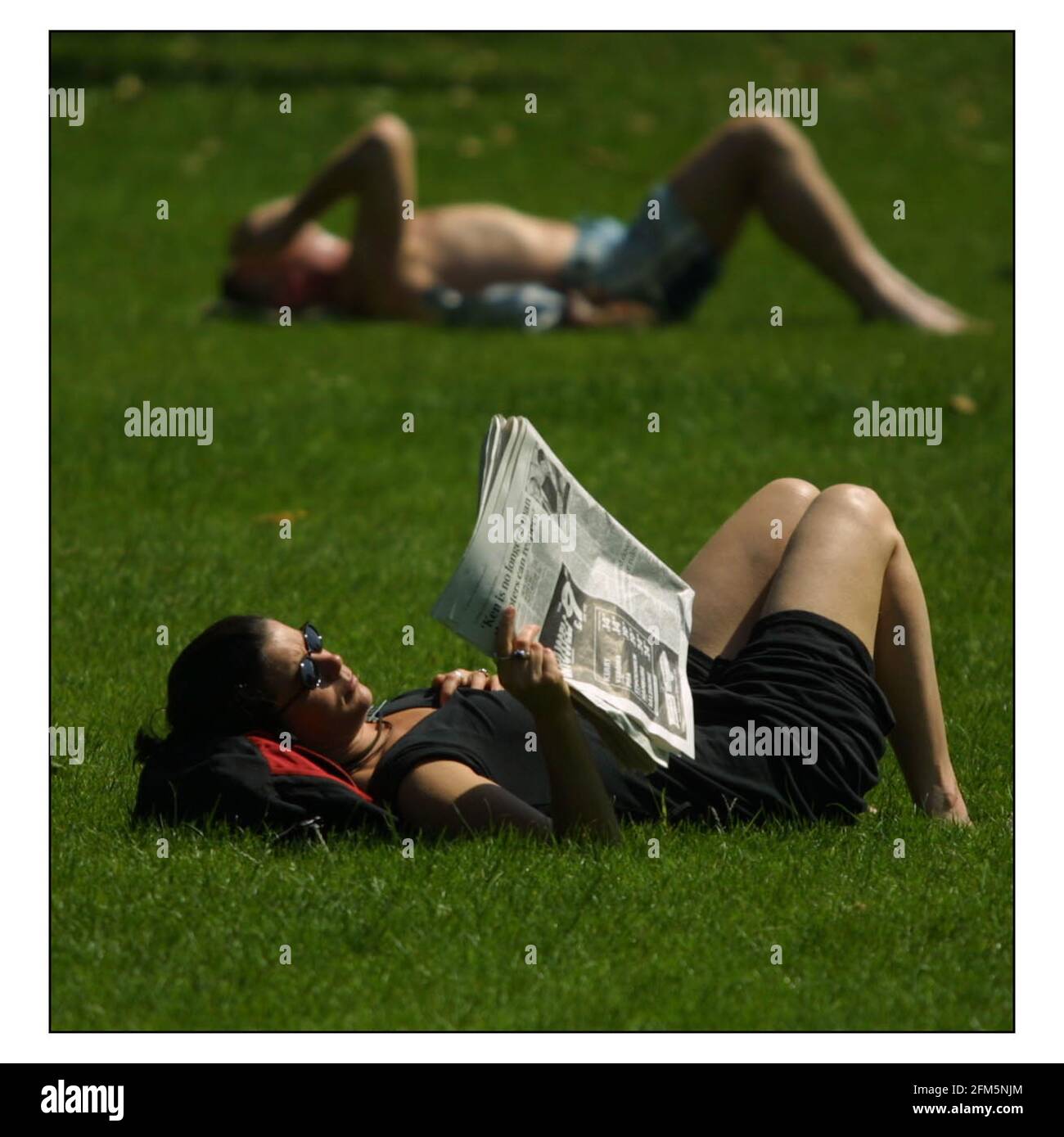 Glorioso SUN.....in un parco a Westminster, Londra pic david Sandison 17/6/2002 Foto Stock