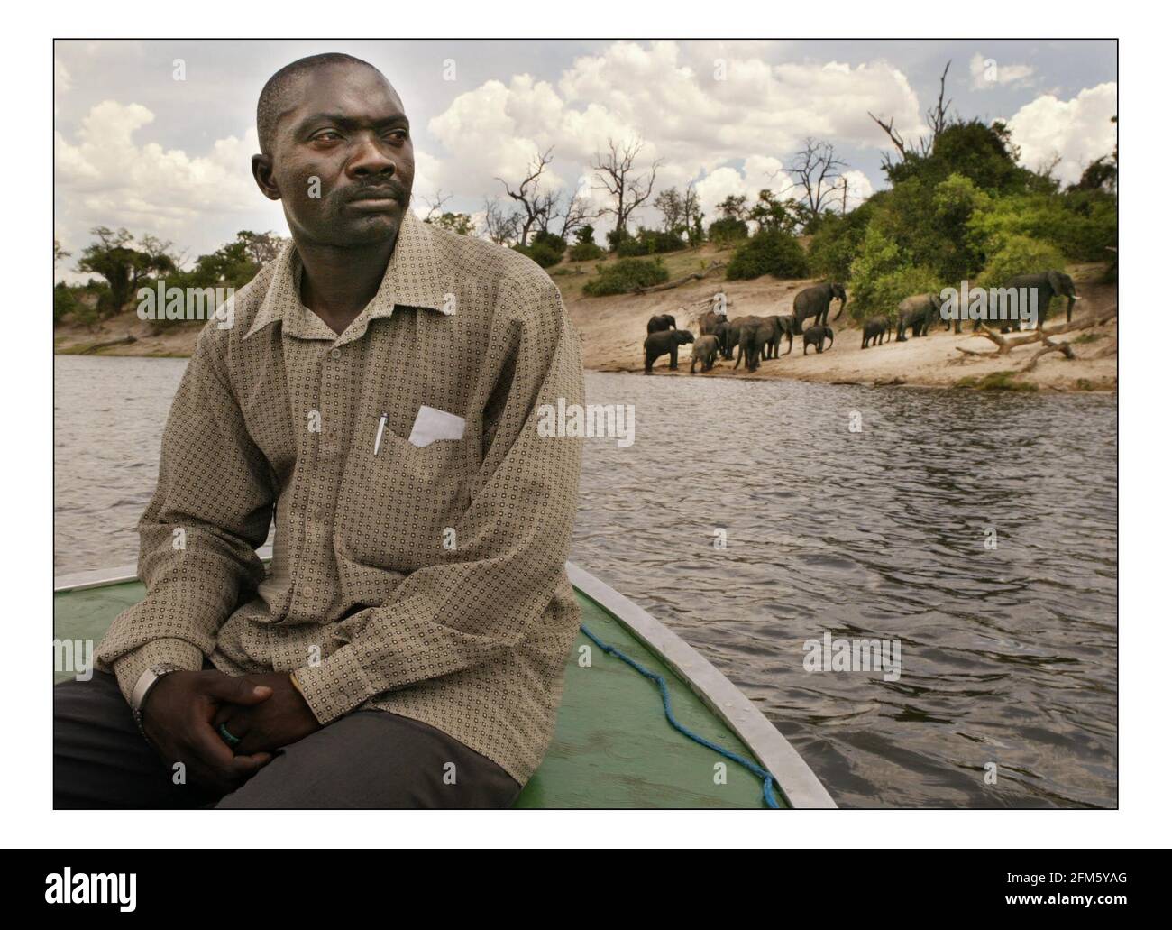 Appello indipendente di Natale...... Sviluppo rurale integrato e conservazione della natura (IRDNC) in Namibia.Bevan Munali, coordinatore di campo dell'IRDNC per la gestione dei Recordes naturali nella striscia di Caprivi, Namibia sul fiume che confina con il Botwana e la Namibia, gli elefanti dei parchi di caccia del Botswana viaggiano attraverso i terreni agricoli locali in Namibia e causano danni alla vita e alle colture, Il personale dell'IRDNC Conservancy lavora con le comunità locali per gestire la fauna selvatica. Fotografia di David Sandison novembre 2004 Foto Stock
