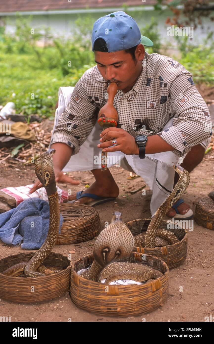 KERALA, INDIA - Snake Charmer gioca pungi con le cobra difese. Foto Stock
