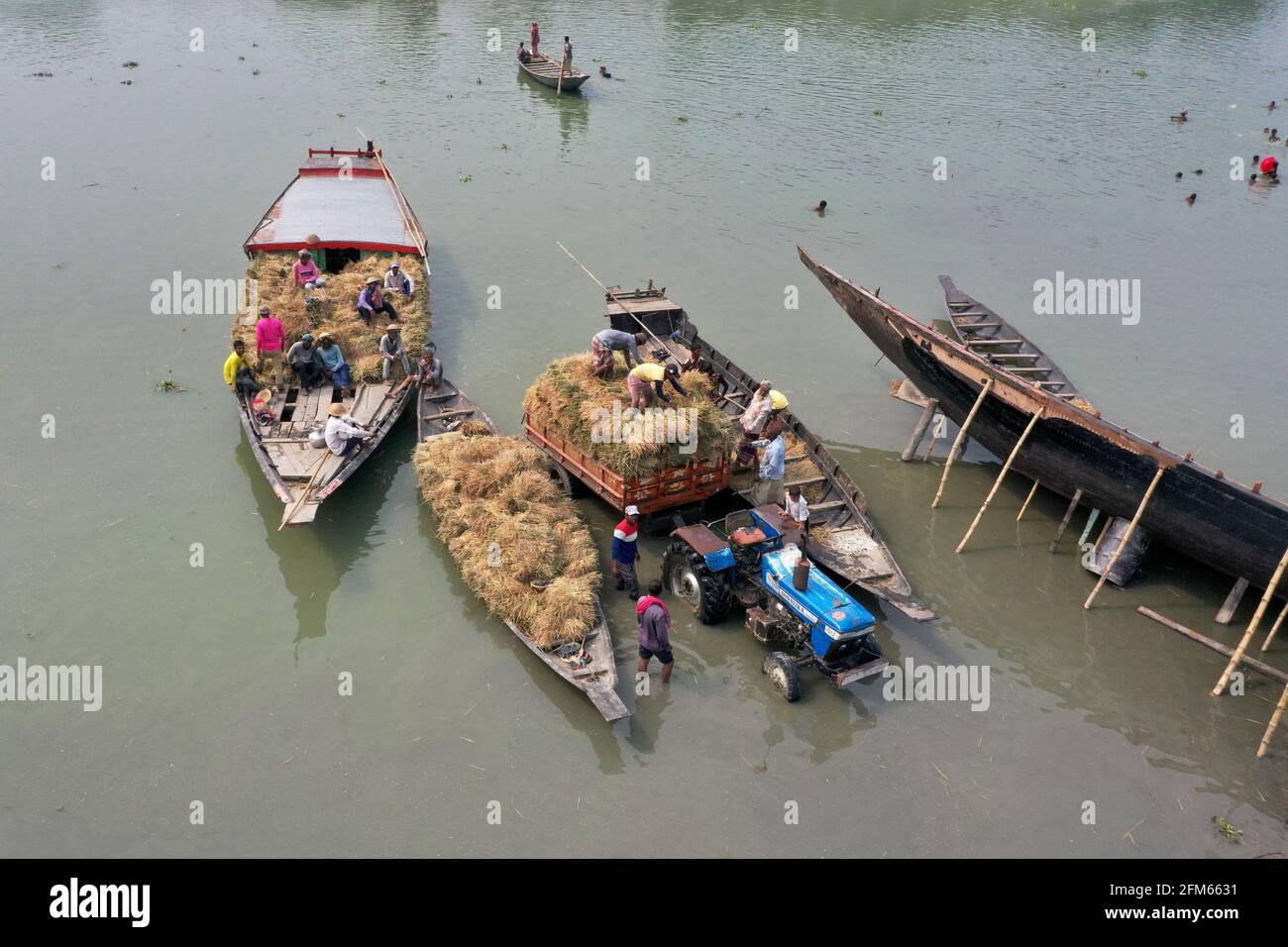 Kishoeganj, Bangladesh - 01 maggio 2021: Gli agricoltori tagliano il risone da Nikli Haor a Kishoeganj e lo portavano in barca. Più tardi, il risone viene portato a casa Foto Stock