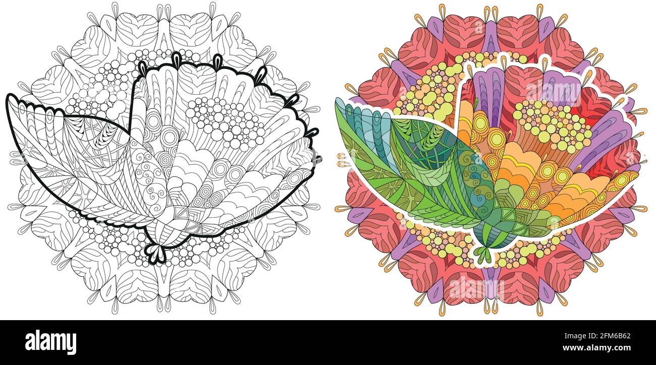 Flower Zentangle stilato con linee pulite con mandala per colorare libro per anti stress, t-shirt design, tatuaggio e altre decorazioni Illustrazione Vettoriale