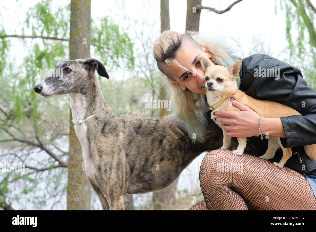 Giovane punk donna con i suoi cani in un parco. Cani Greyhound e chihuahua. Foto Stock
