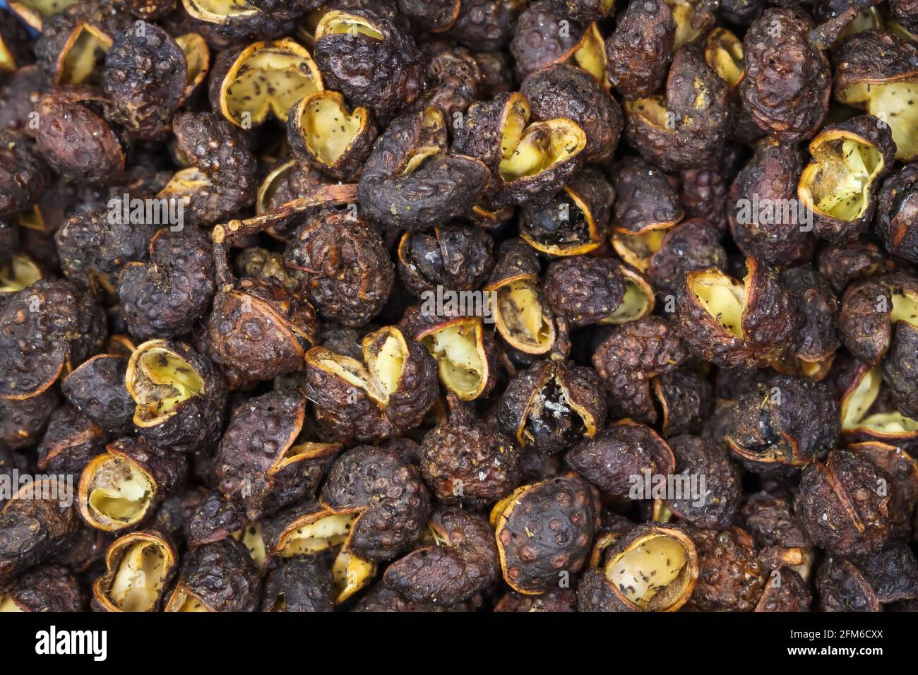 Macro full frame closeup di marrone grezzo tutto cinese sichuan grani di pepe di timut con sapore di anice di agrumi Foto Stock