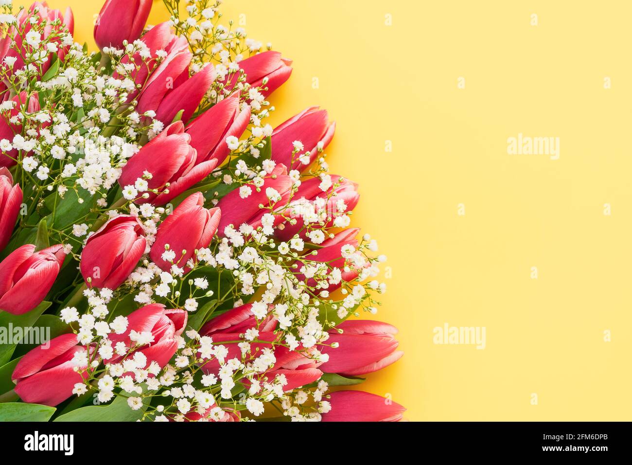 Tulipani rosa e fiori di gypsophila bouquet su sfondo giallo, fuoco selettivo. Festa della mamma, concetto di festa di compleanno. Vista dall'alto, spazio di copia Foto Stock
