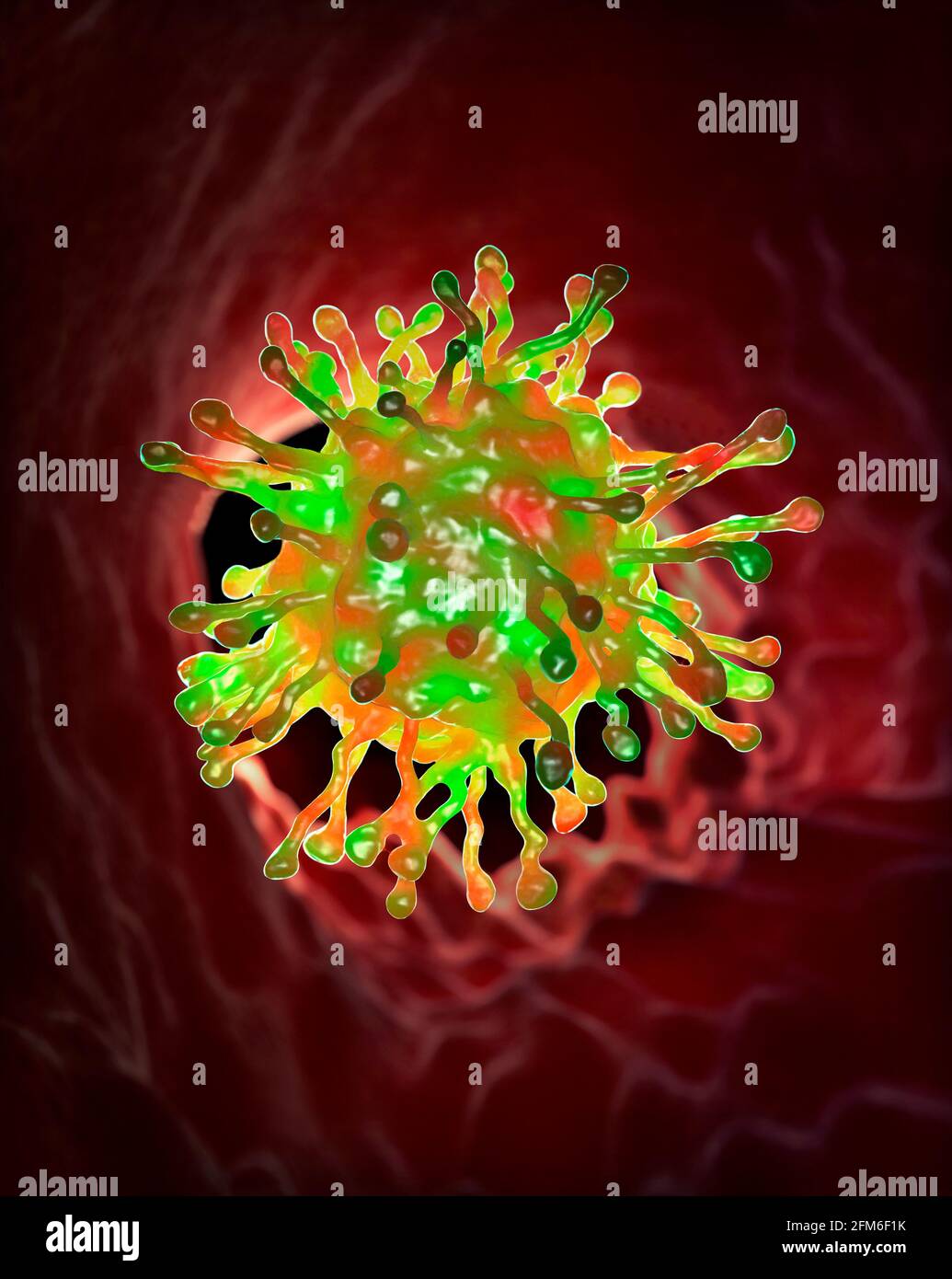 un virus covid-19 all'interno di un passaggio nasale o all'interno di un perosn infettandoli e crescendo Foto Stock