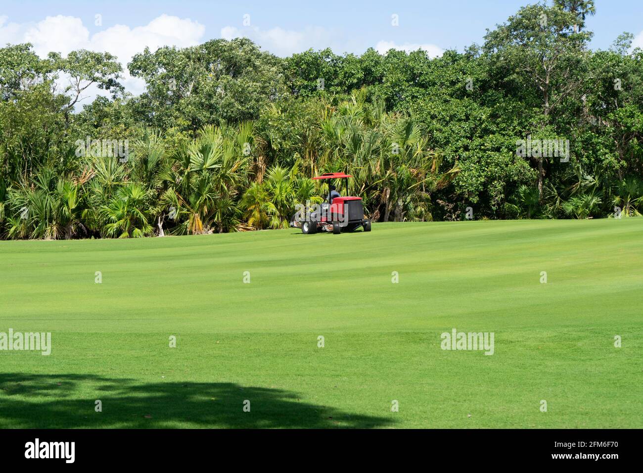 Tagliaerba in azione in un campo da golf Foto Stock
