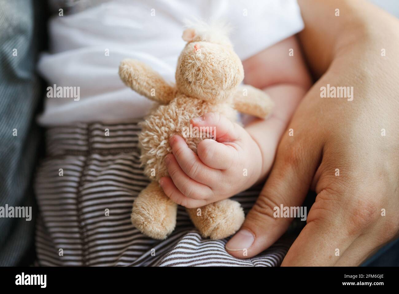 un bambino tra le braccia del padre contiene un piccolo giocattolo morbido Foto Stock