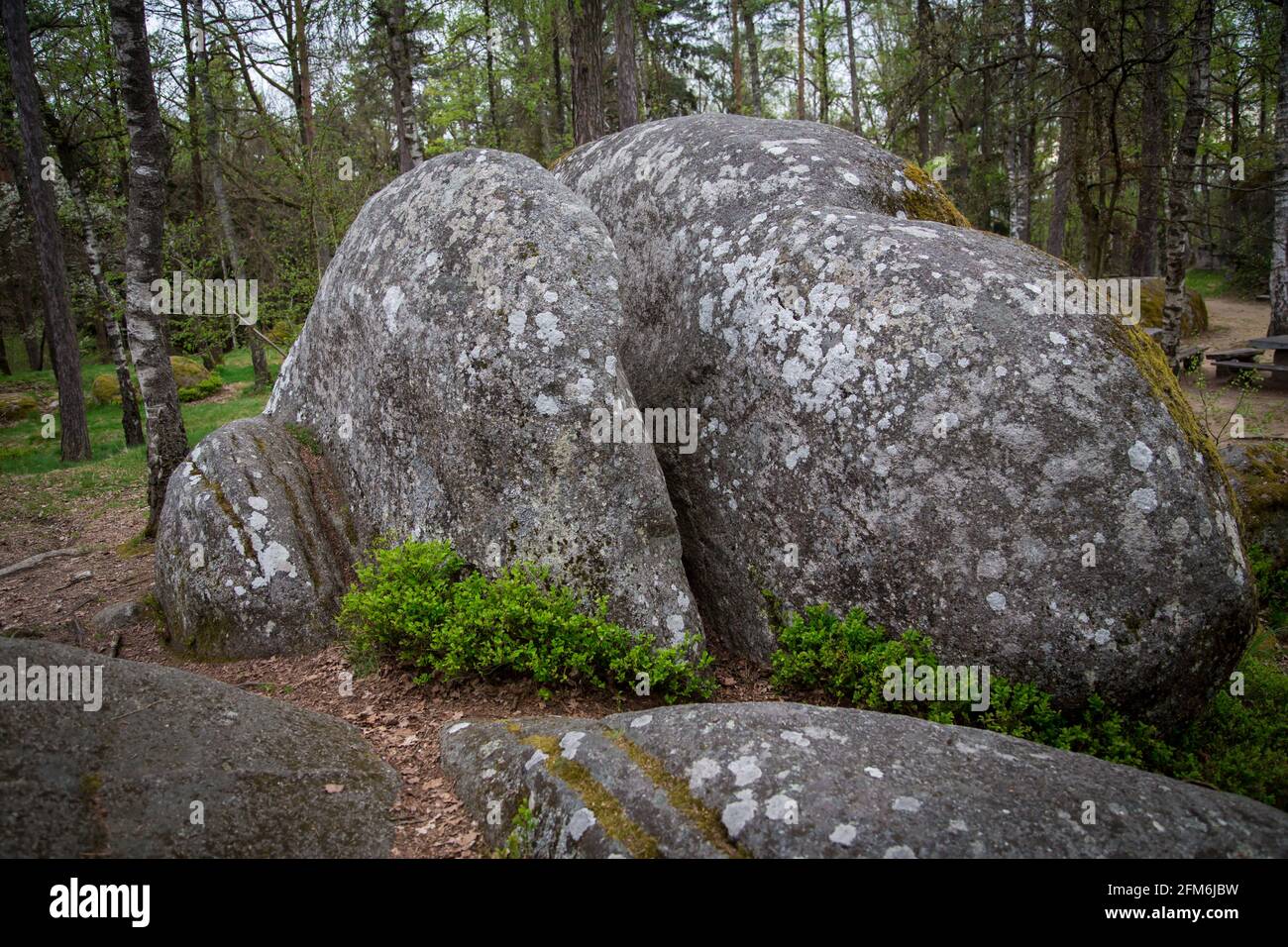 Rocce nel Blockheide, un parco naturale a Gmünd, Waldviertel, Austria Foto Stock