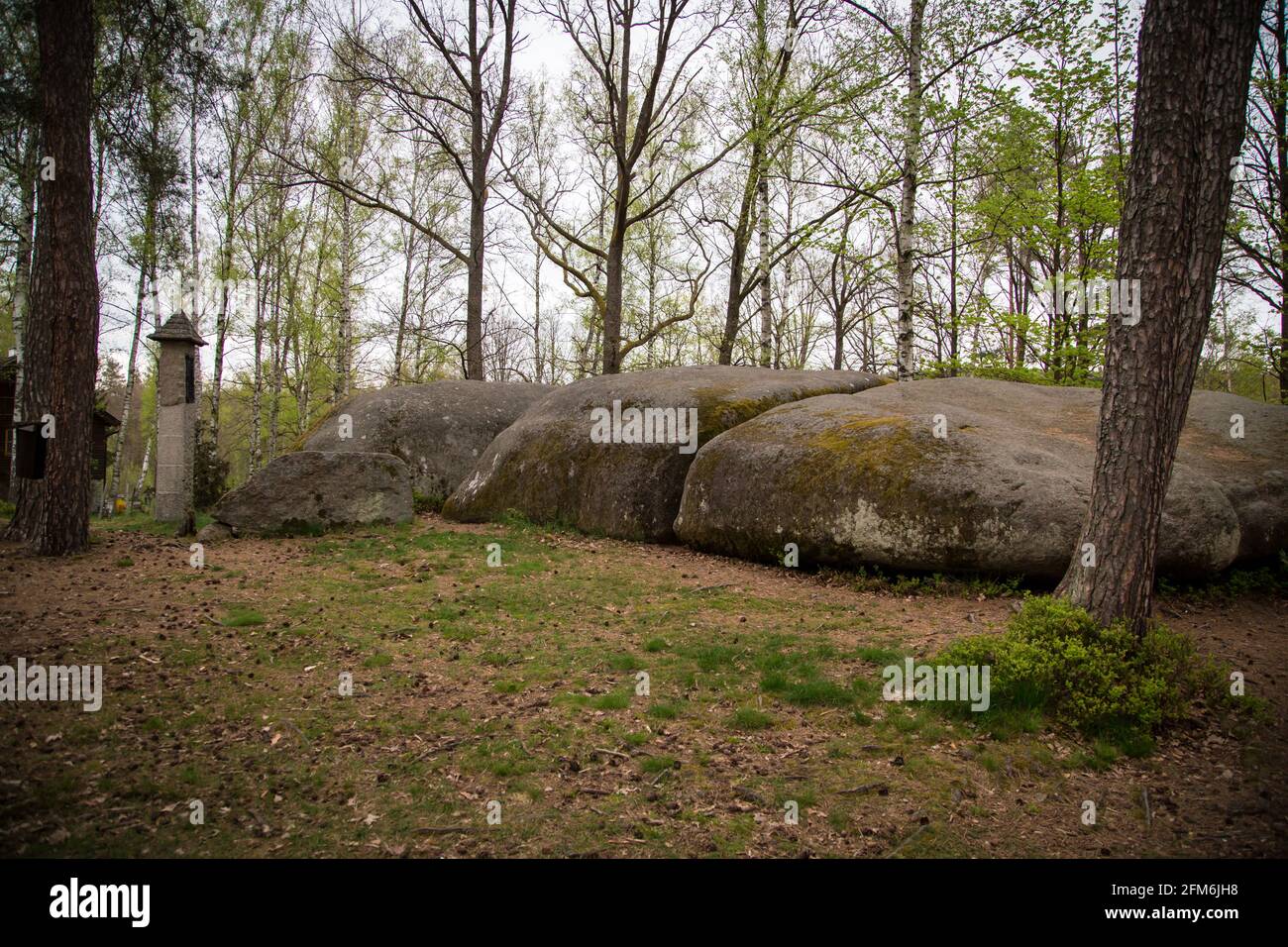 Rocce nel Blockheide, un parco naturale a Gmünd, Waldviertel, Austria Foto Stock