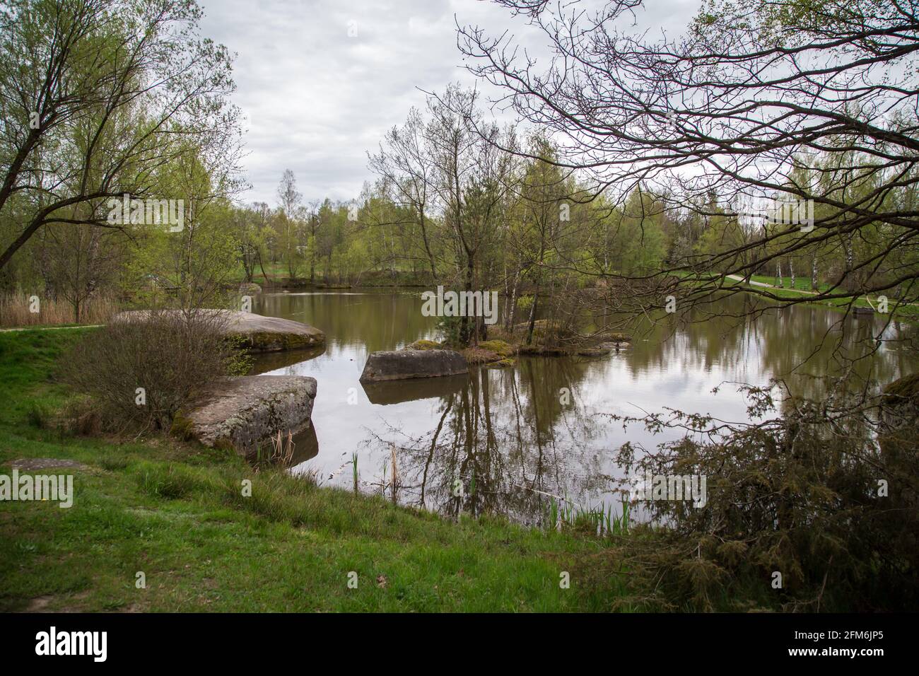 Blockheide See, stagno nel Blockheide, Gmünd, Waldviertel, Austria Foto Stock
