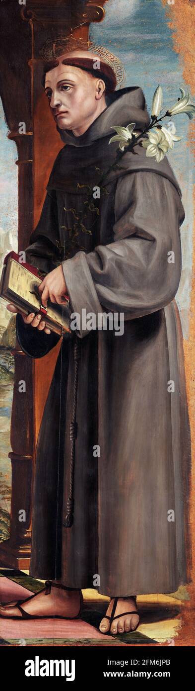 Sant'Antonio. Sant'Antonio di Padova di Bernardino Zenale, tempera e olio su tavola, c.1502-07 Foto Stock